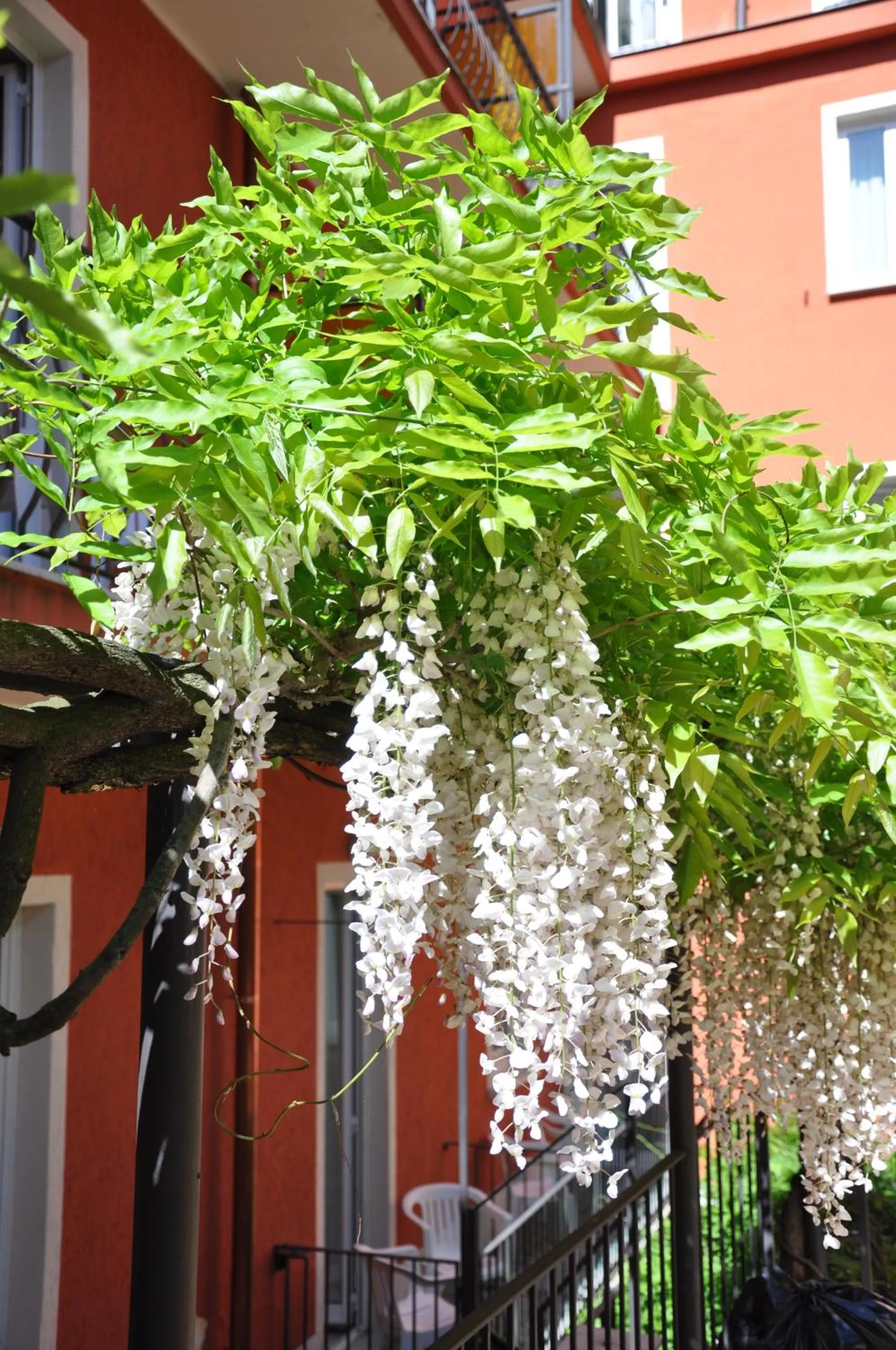 Garden in Cavour 30TRE - Hotel Moderno