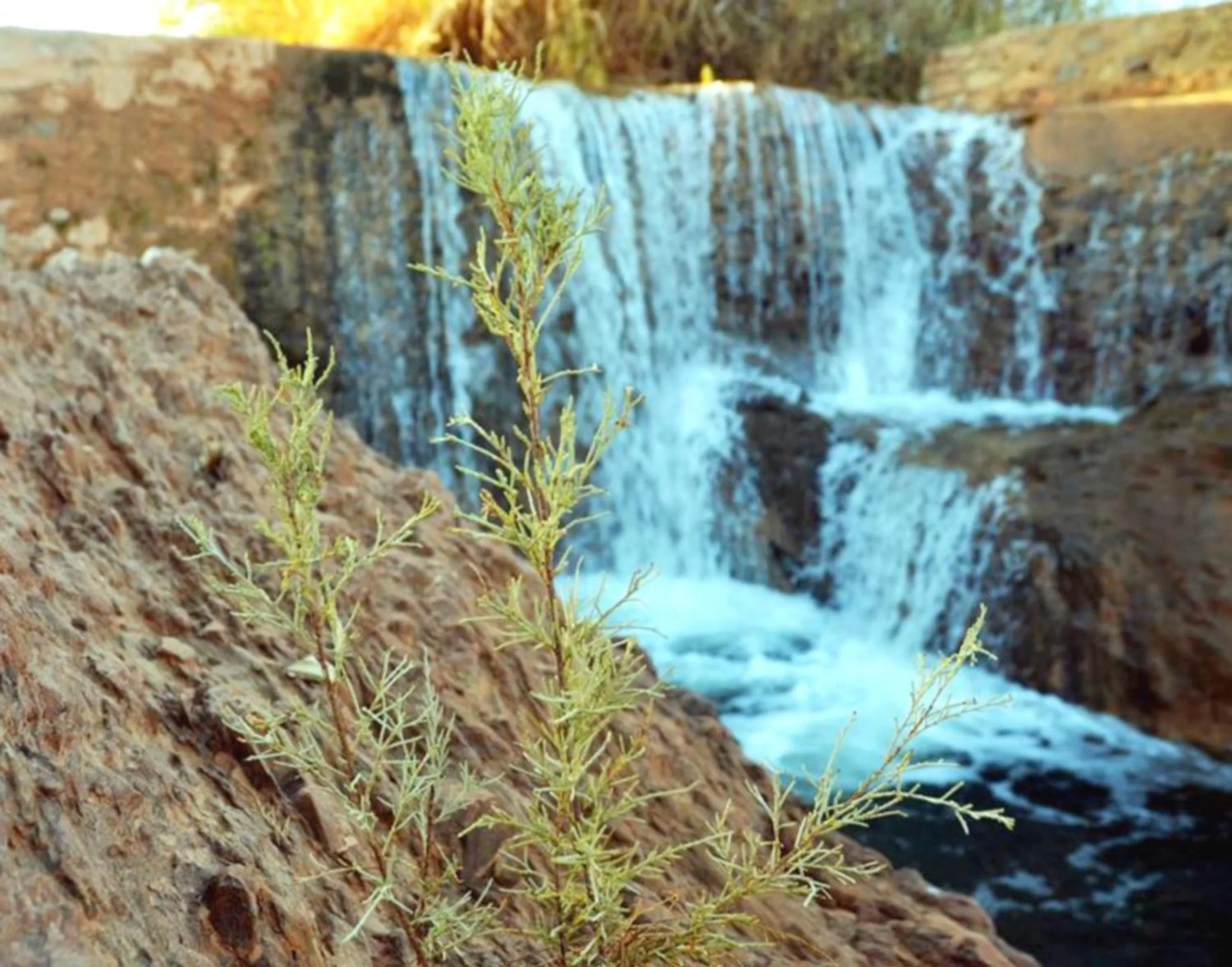 Hiking in Hotel Restaurant La Kasbah