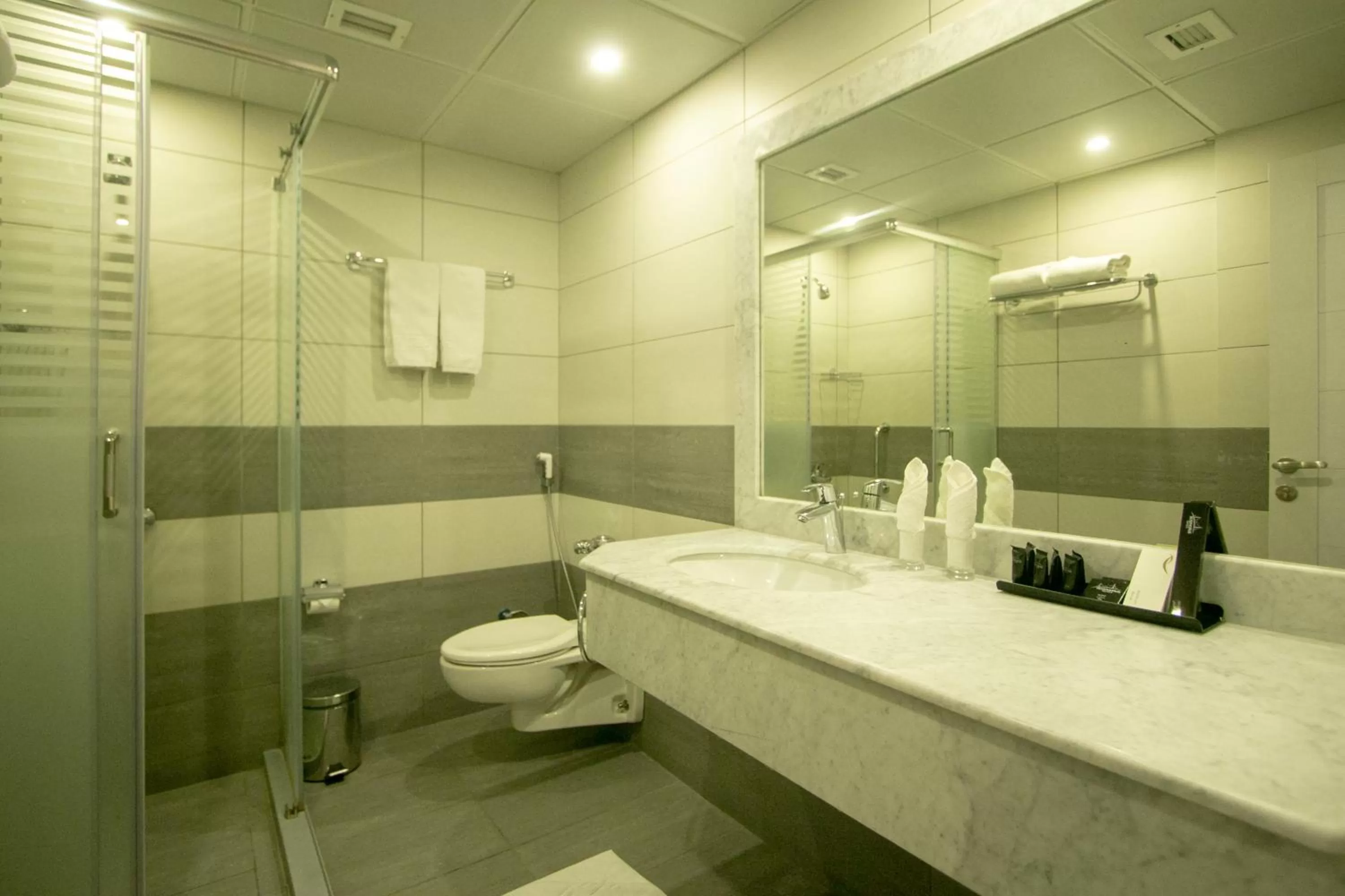 Shower, Bathroom in Le Bosphorus Al Madinah