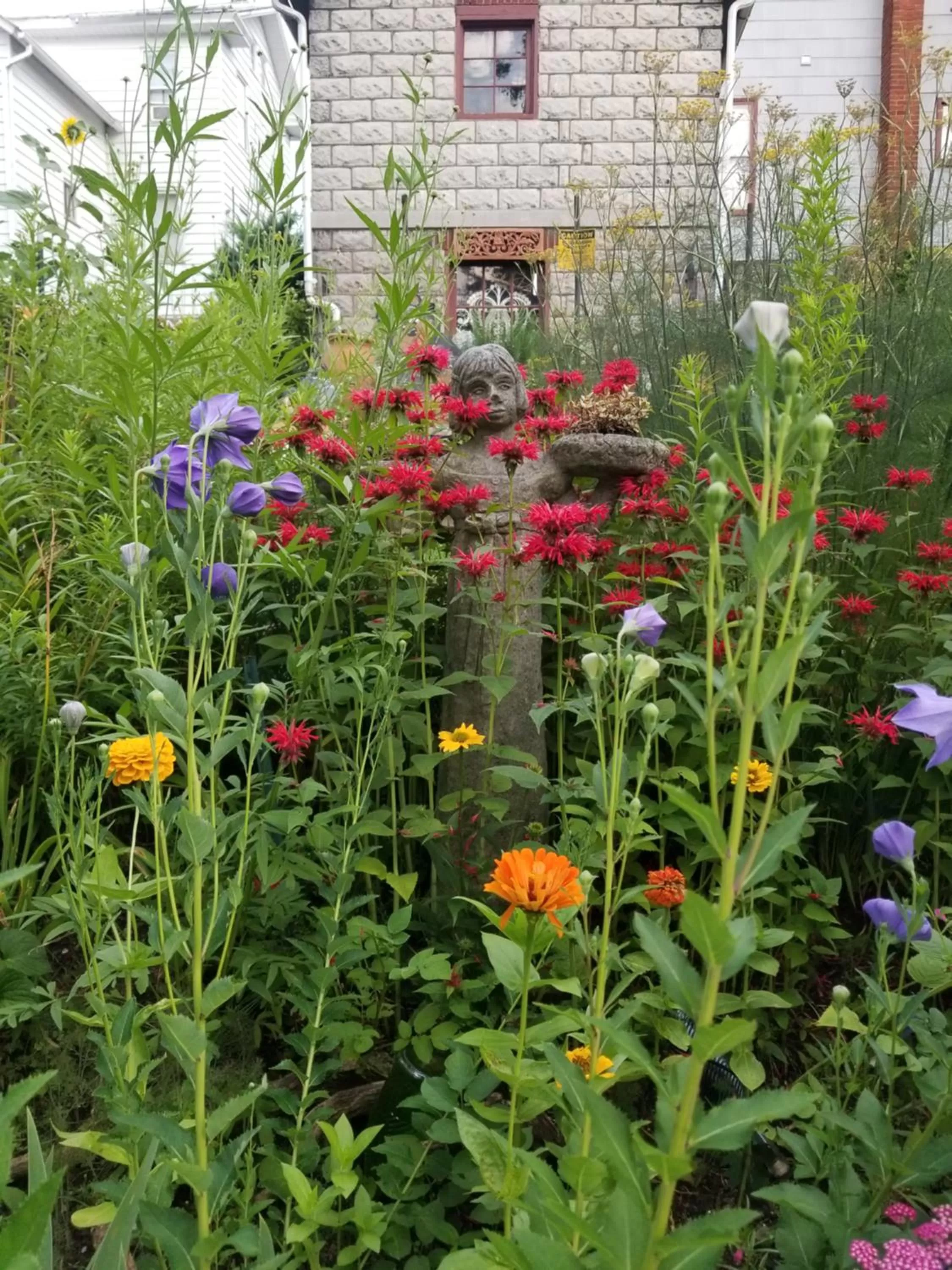 Spring in The Queen, A Victorian Bed & Breakfast