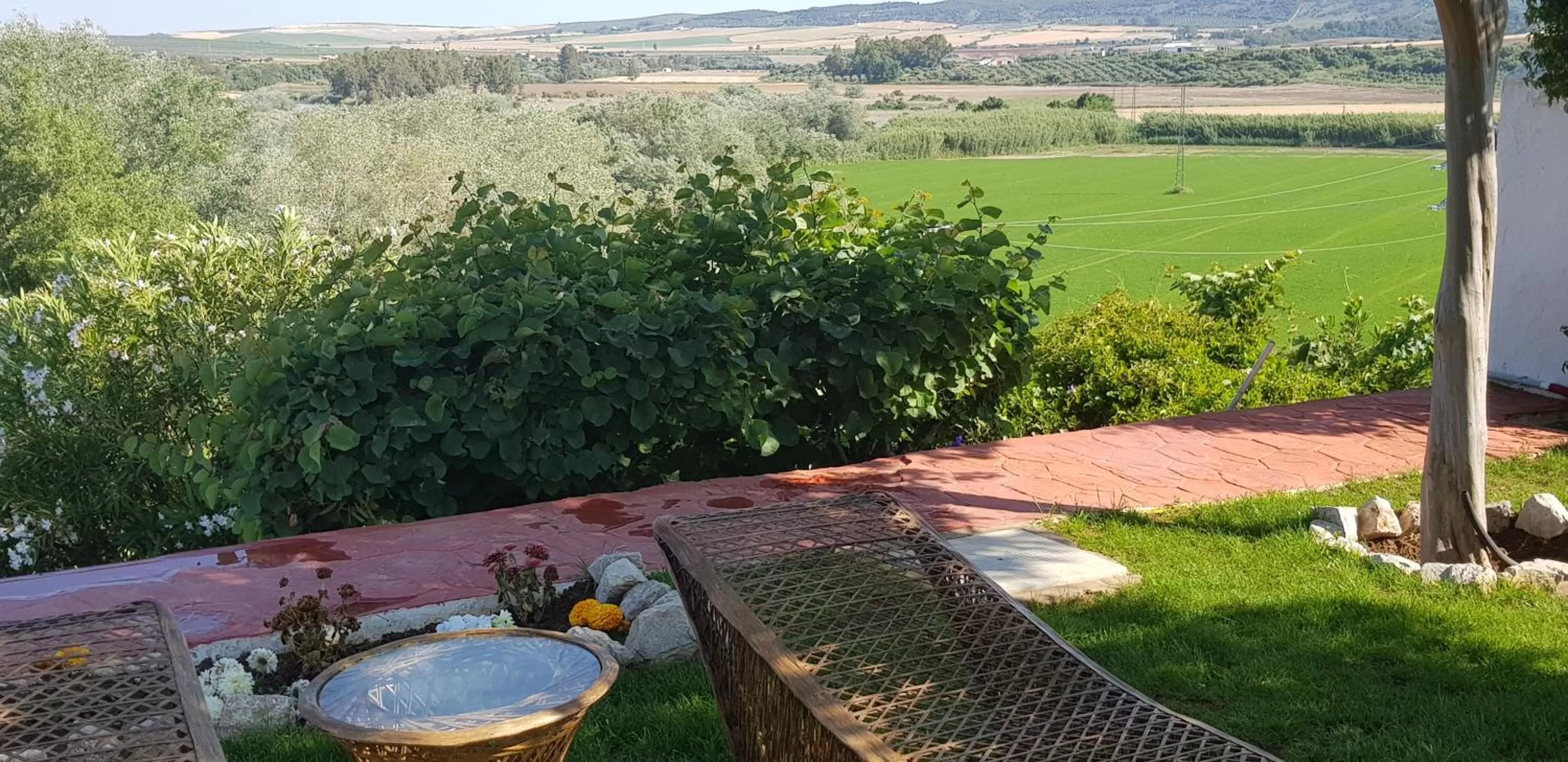 Garden in Hacienda El Santiscal