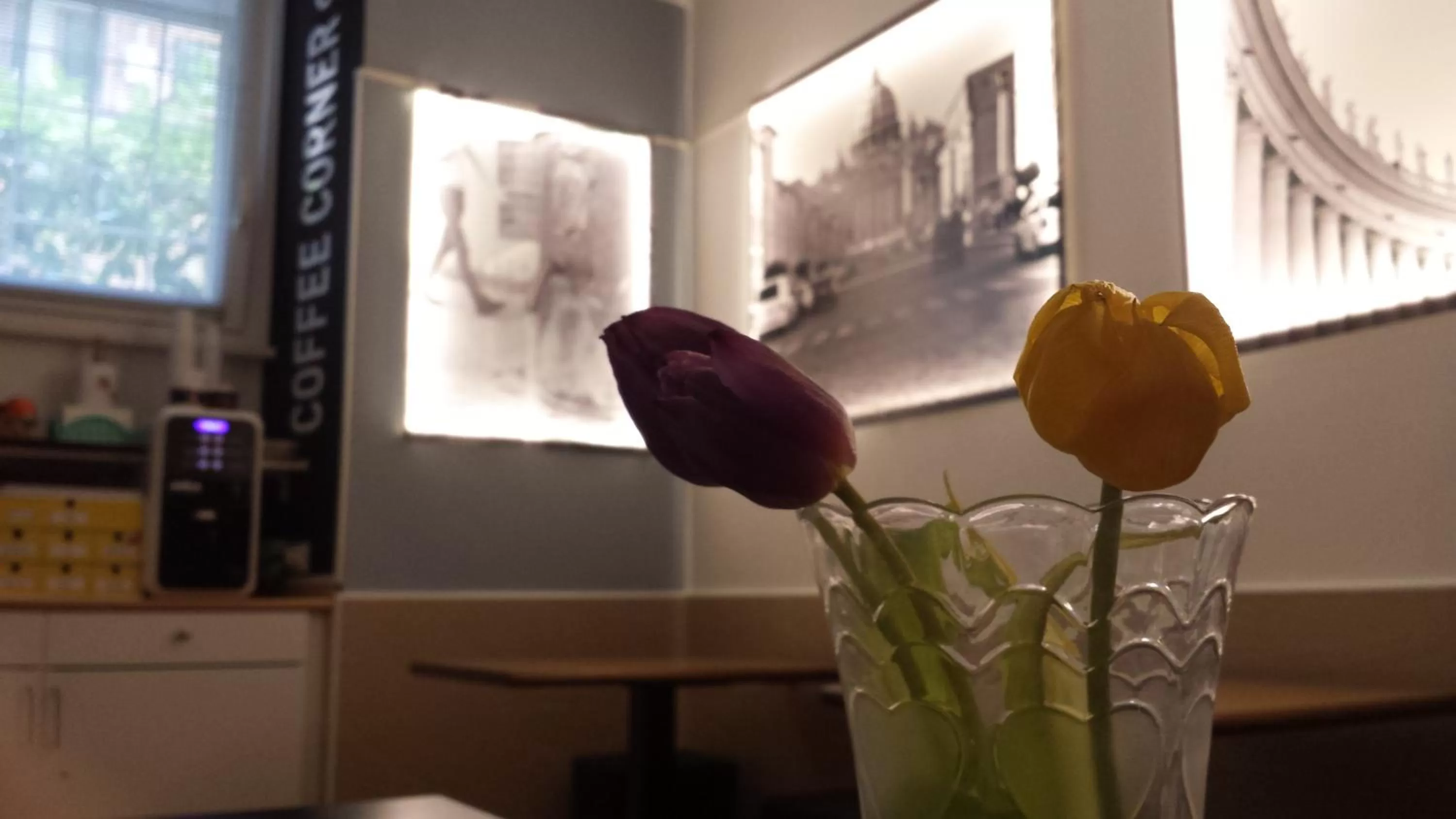 Lobby or reception in San Peter Rome B&B