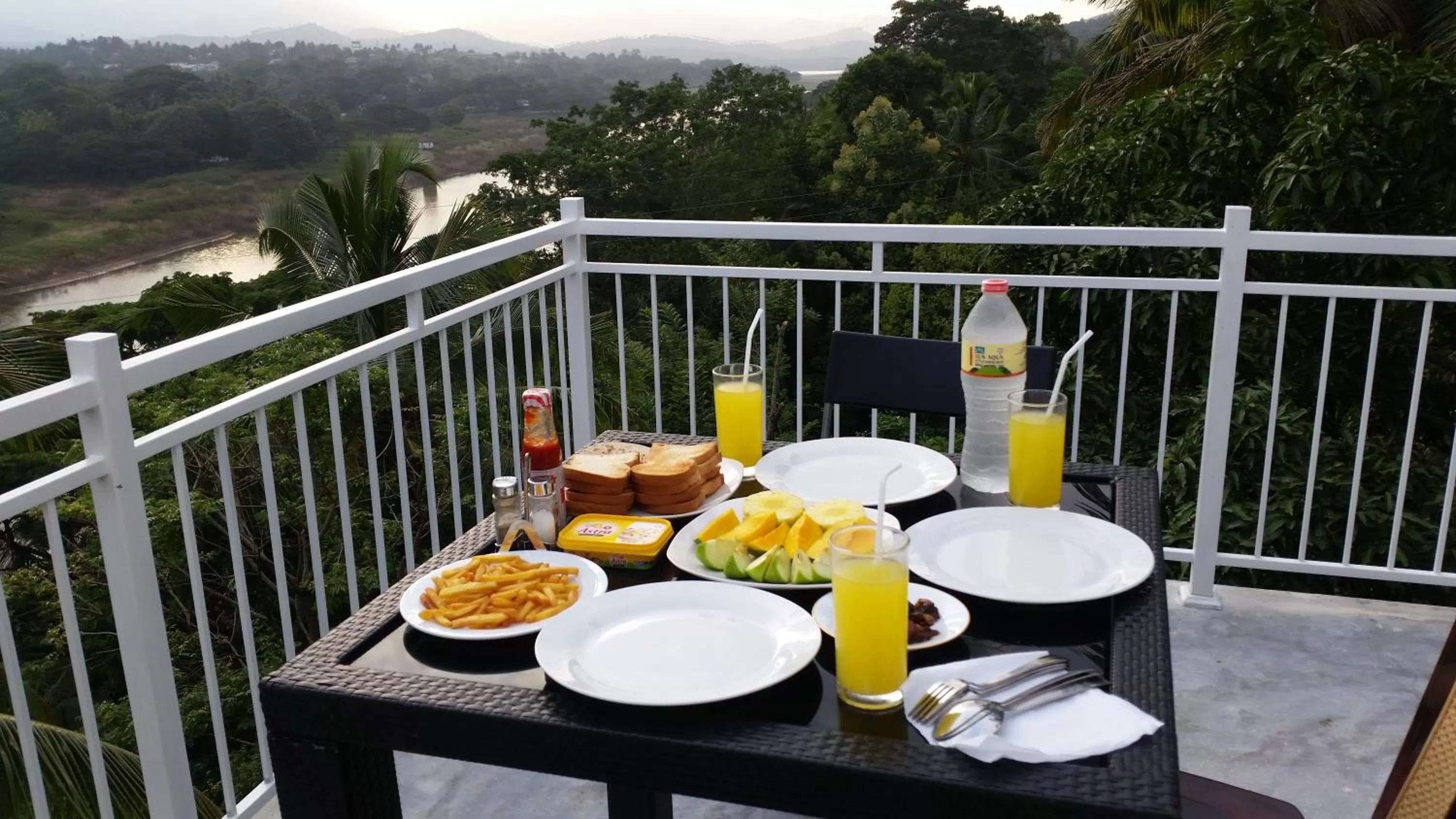 View (from property/room) in Mahaweli View Inn