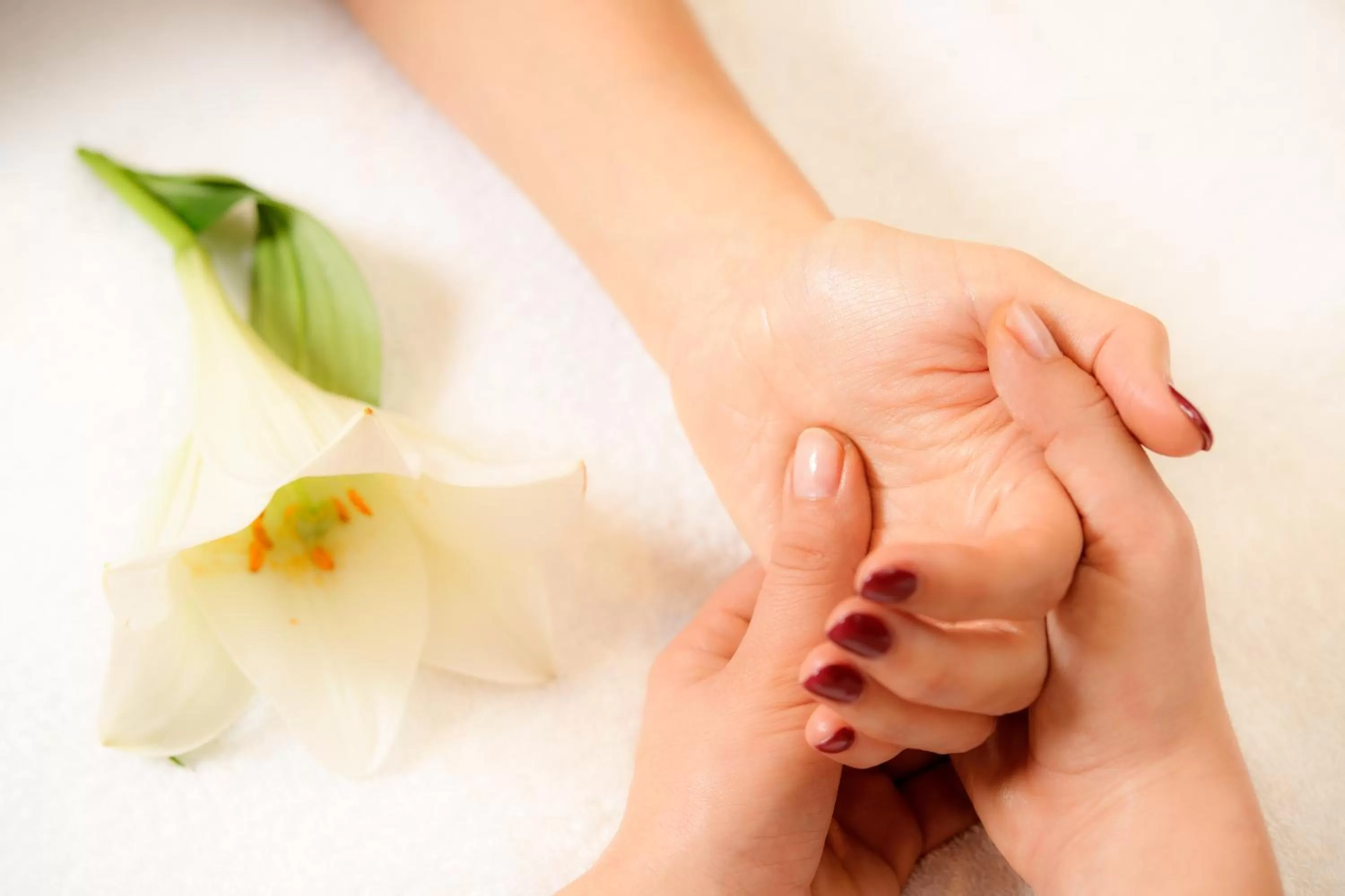 Spa and wellness centre/facilities in Familien- und Wellnesshotel "Landhaus Viktoria"