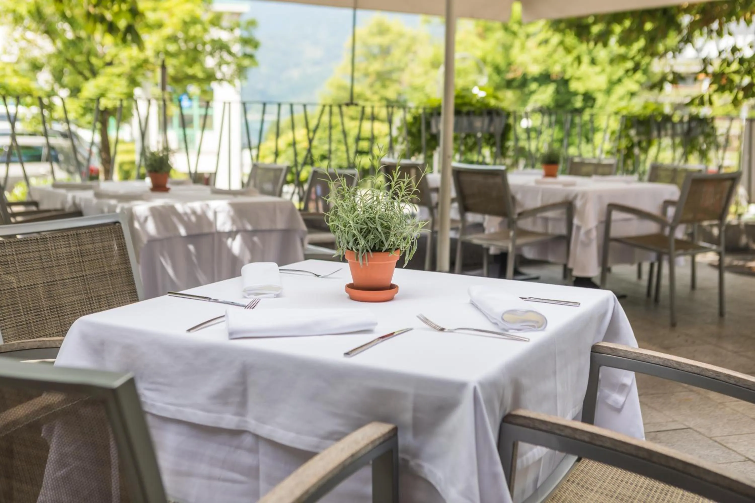 Restaurant/places to eat in Hotel Lovec