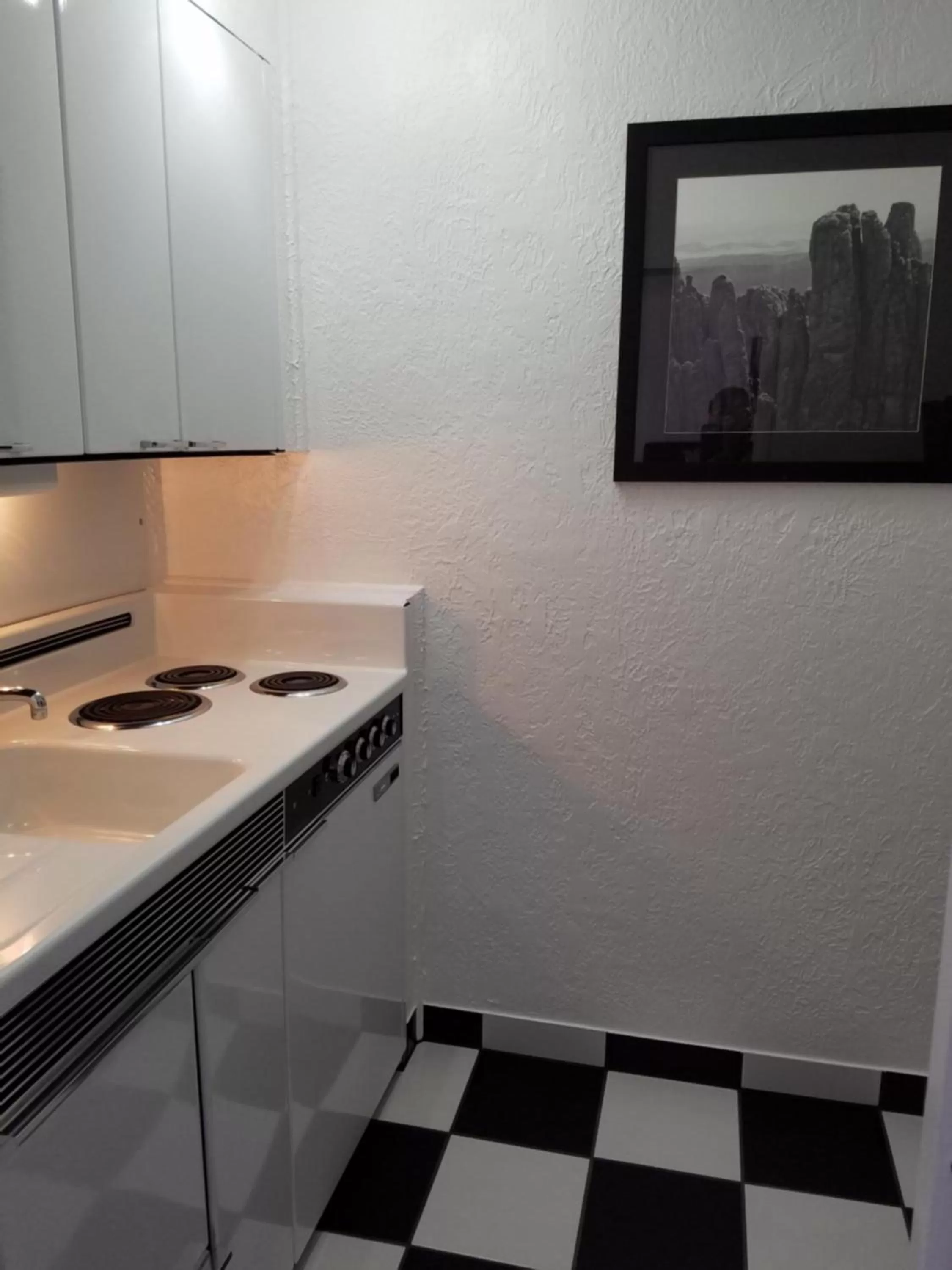 Kitchen or kitchenette in Rocket Motel