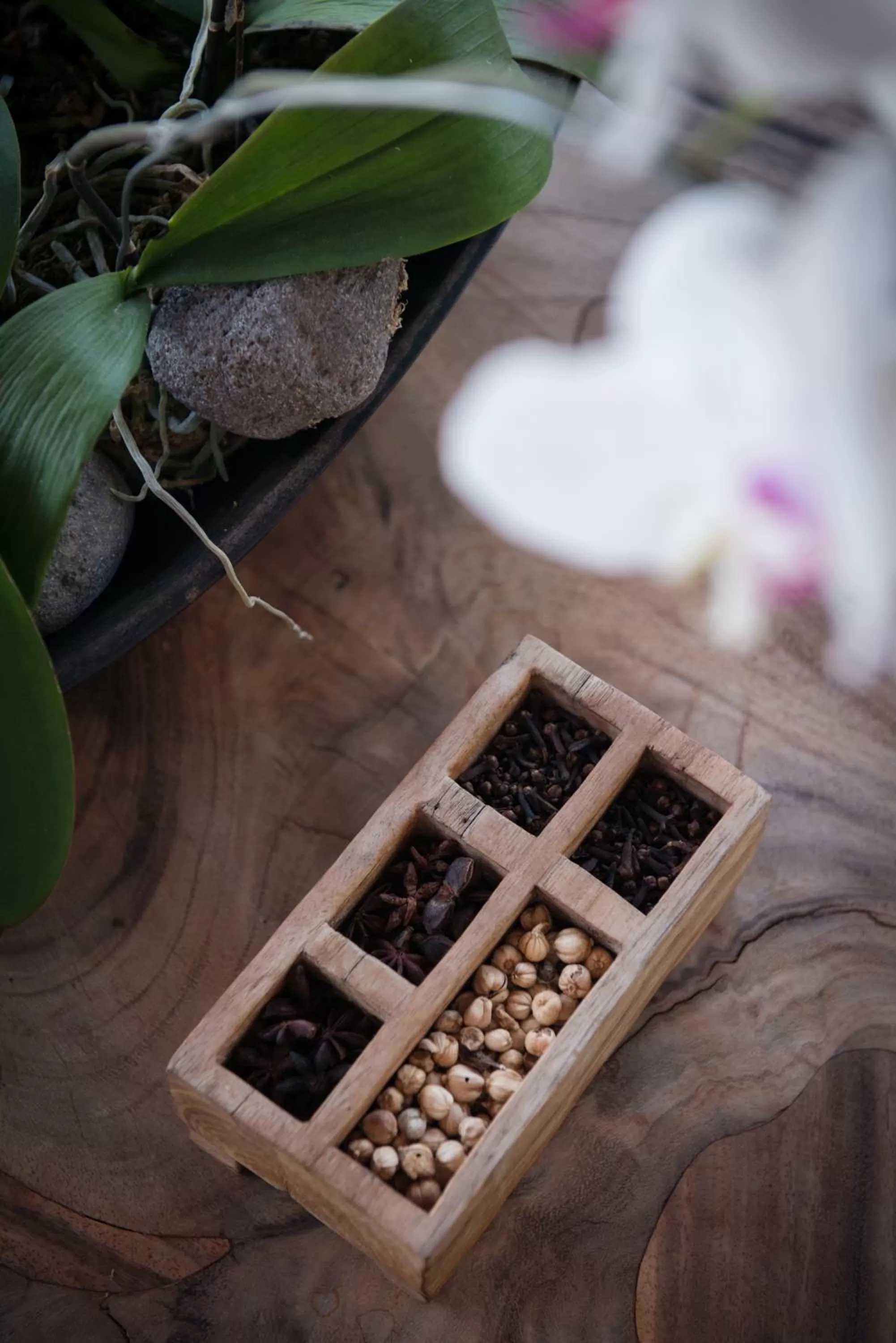 Spa and wellness centre/facilities in Komaneka at Rasa Sayang Ubud