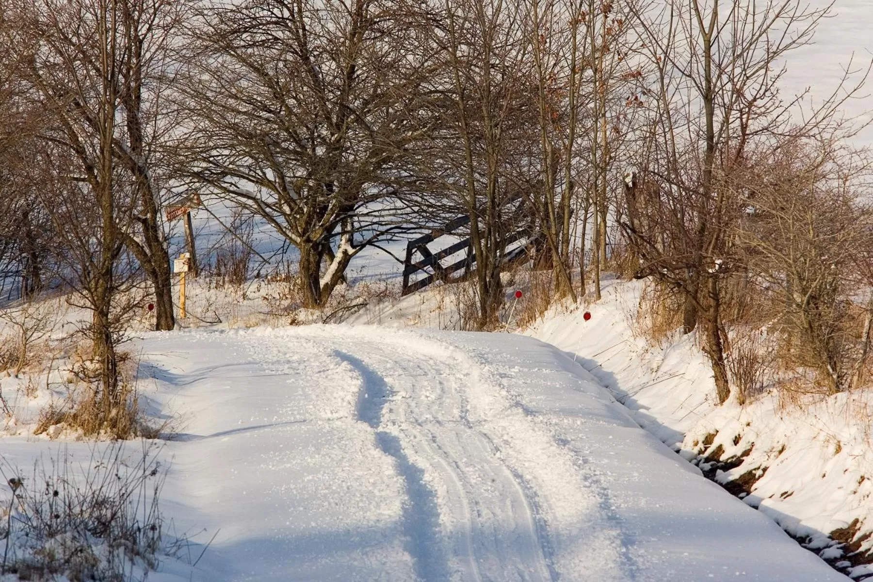 Natural landscape in Inn at Starlight Lake & Restaurant