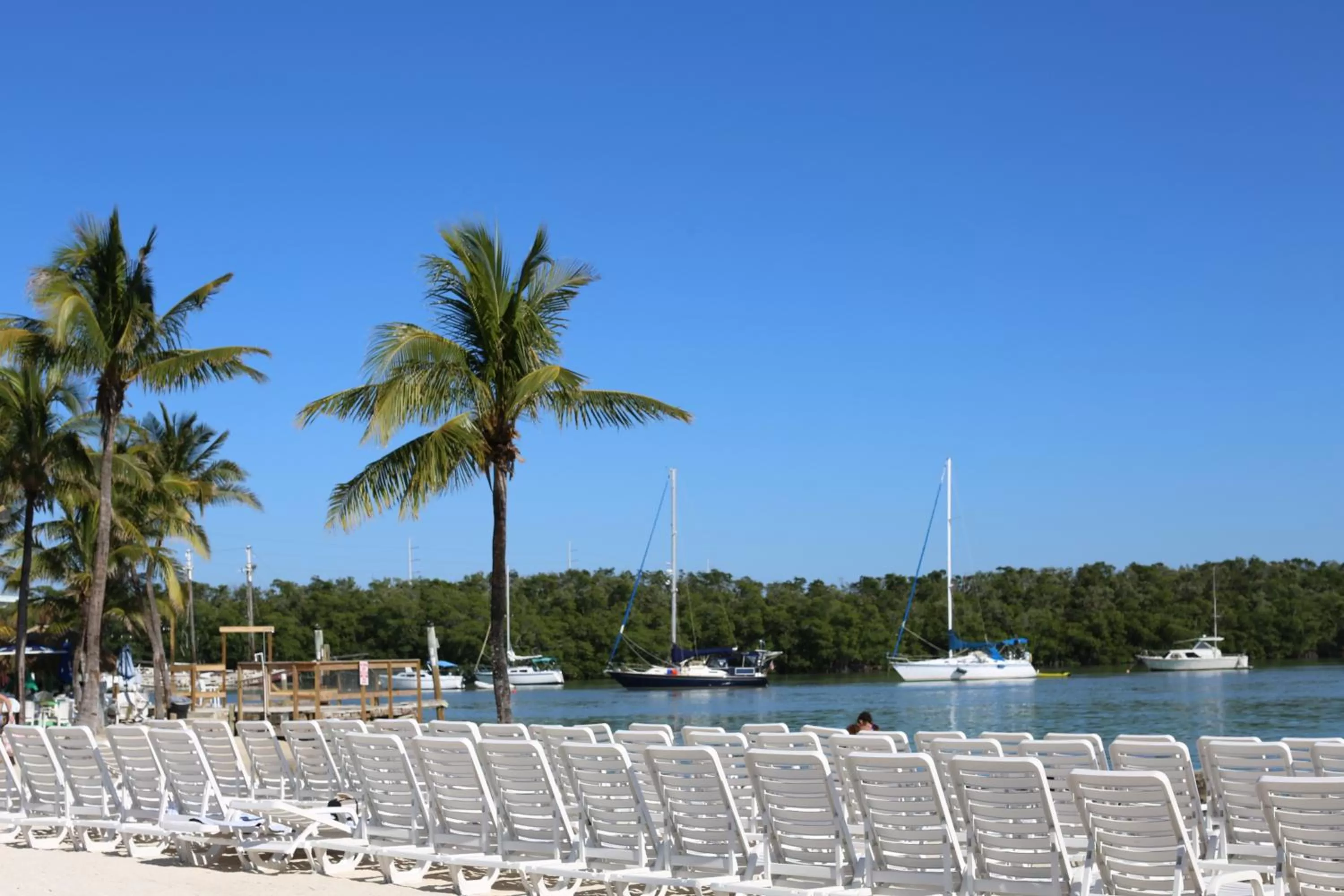 Beach in Gilbert's Resort & Marina