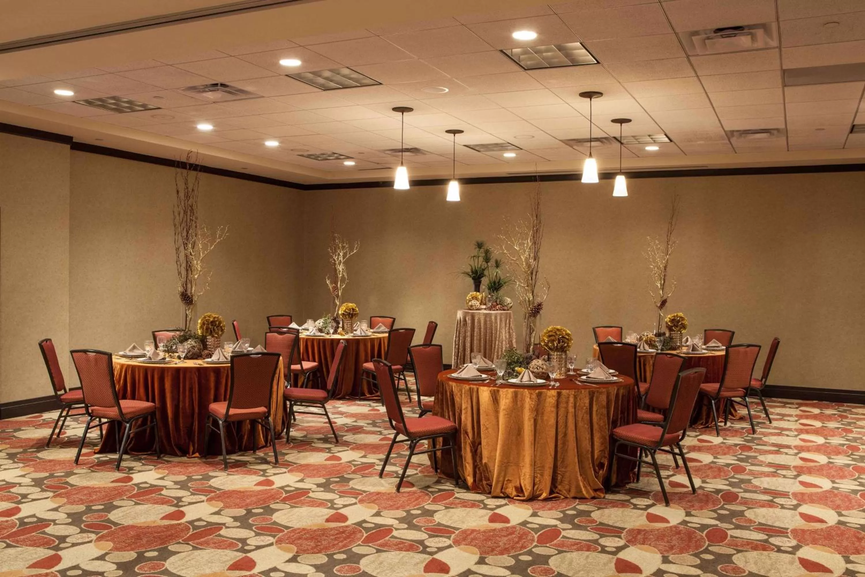 Meeting/conference room in Hilton Garden Inn El Paso University