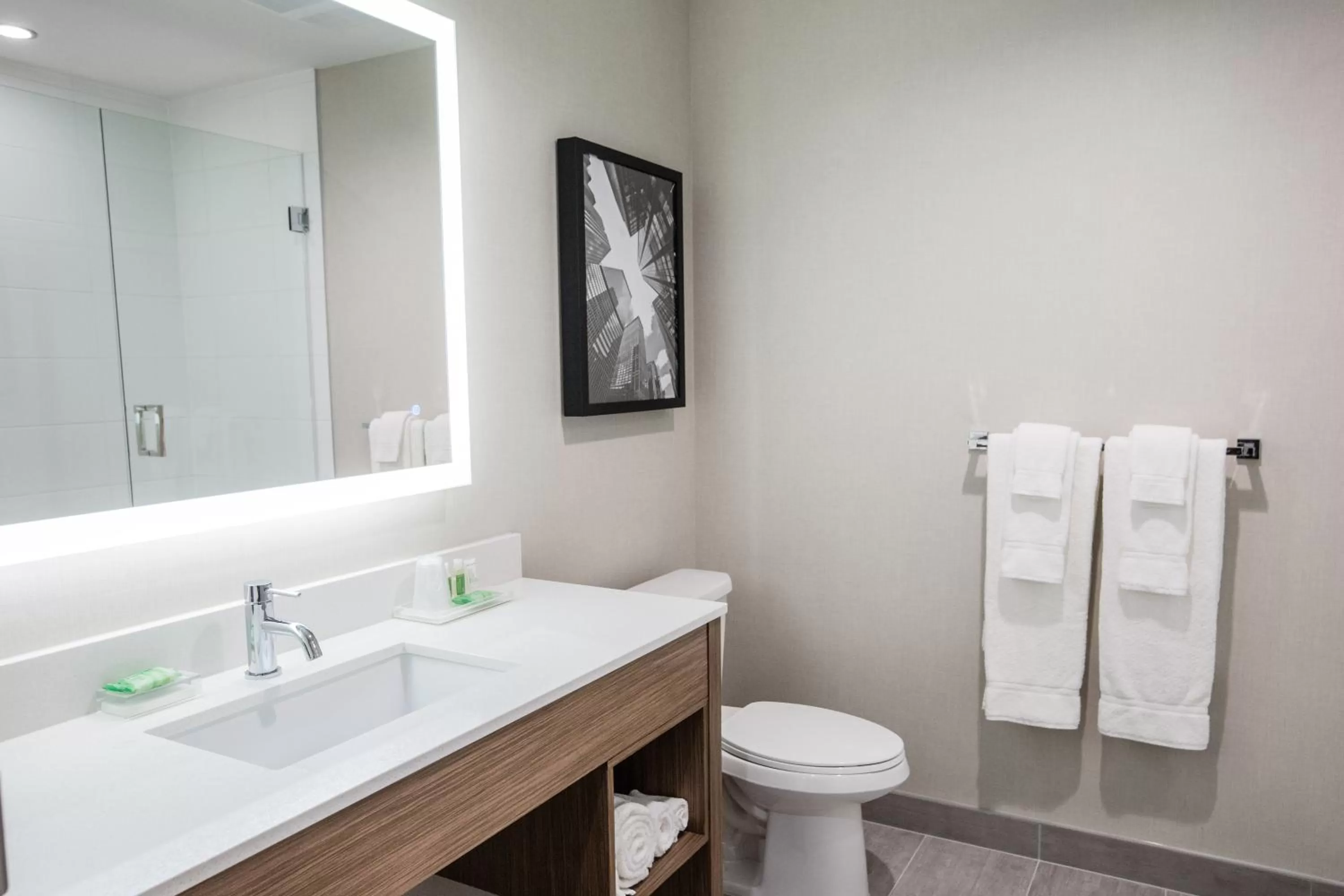 Bathroom in Holiday Inn Hotel & Suites Calgary South - Conference Ctr by IHG