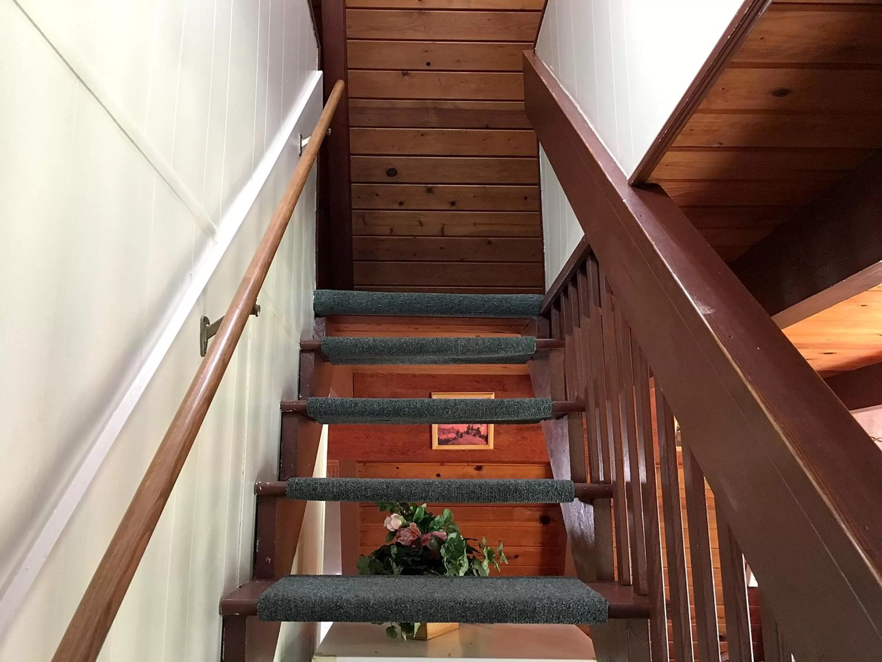 Park Motel and Cabins