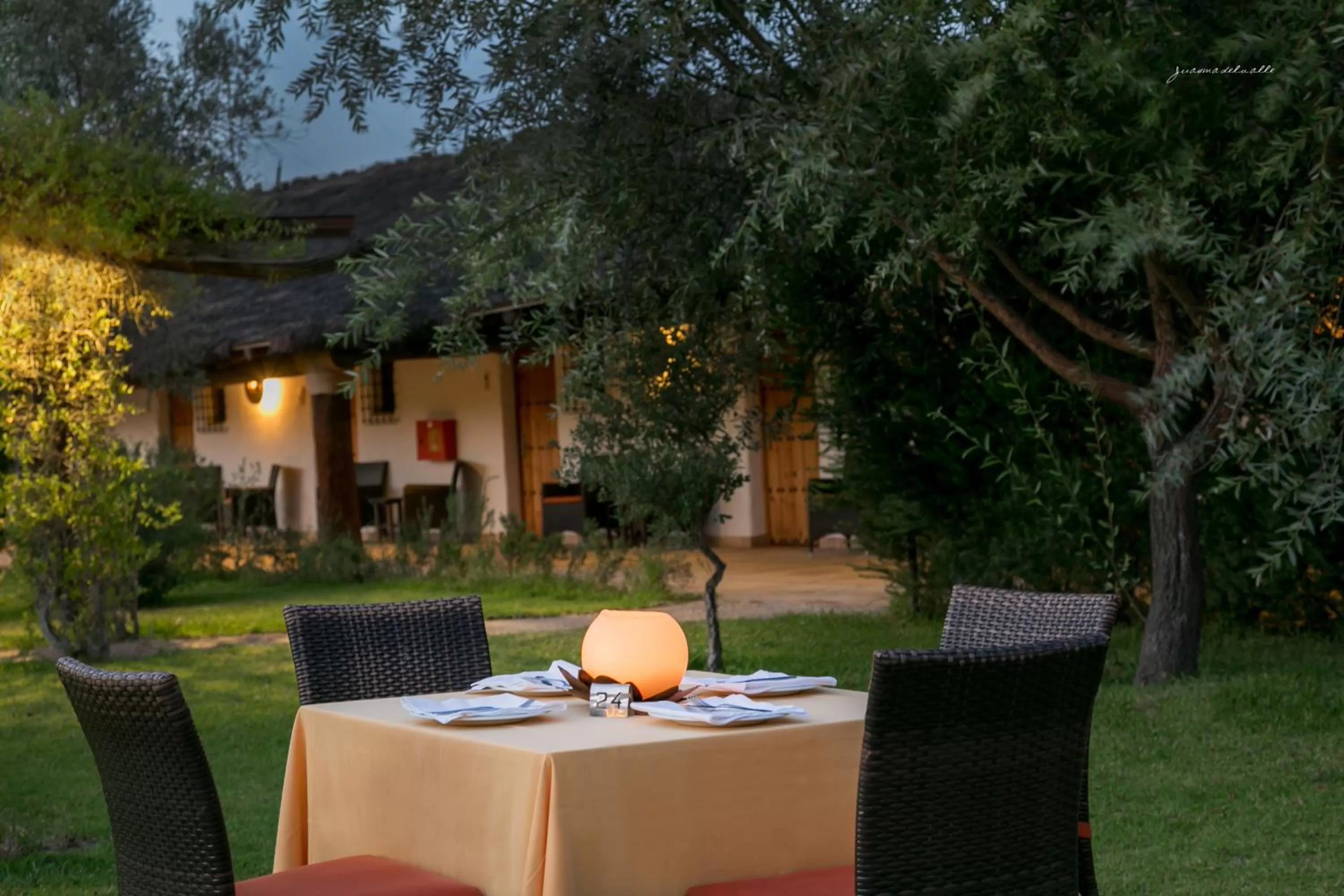 Restaurant/places to eat in Ardea Purpurea