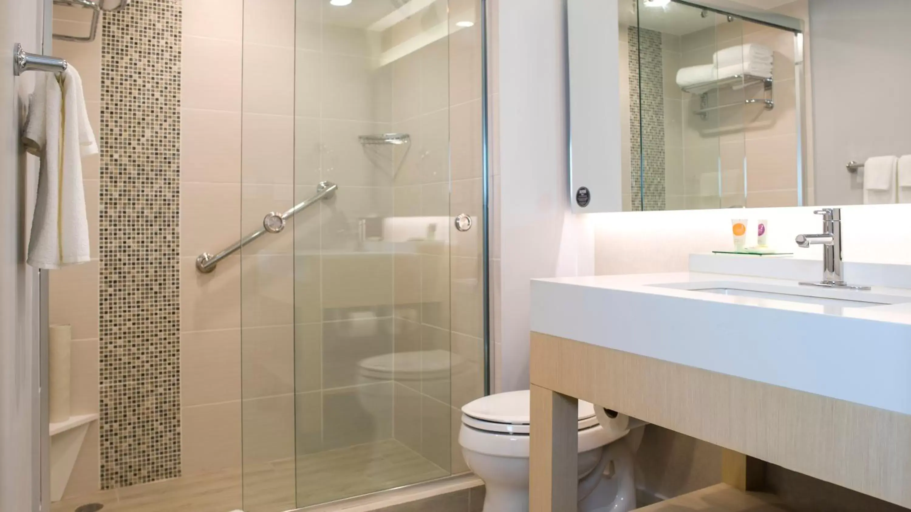 King Room with Sofa Bed and Roll-In Shower - Disability Access in Hyatt Place Managua King Room with Sofa Bed and Roll-In Shower - Disability Access in Hyatt Place Managua