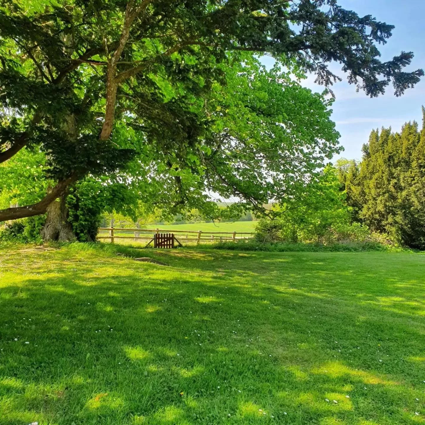 Garden view, Garden in Edelsminde Bed & Breakfast