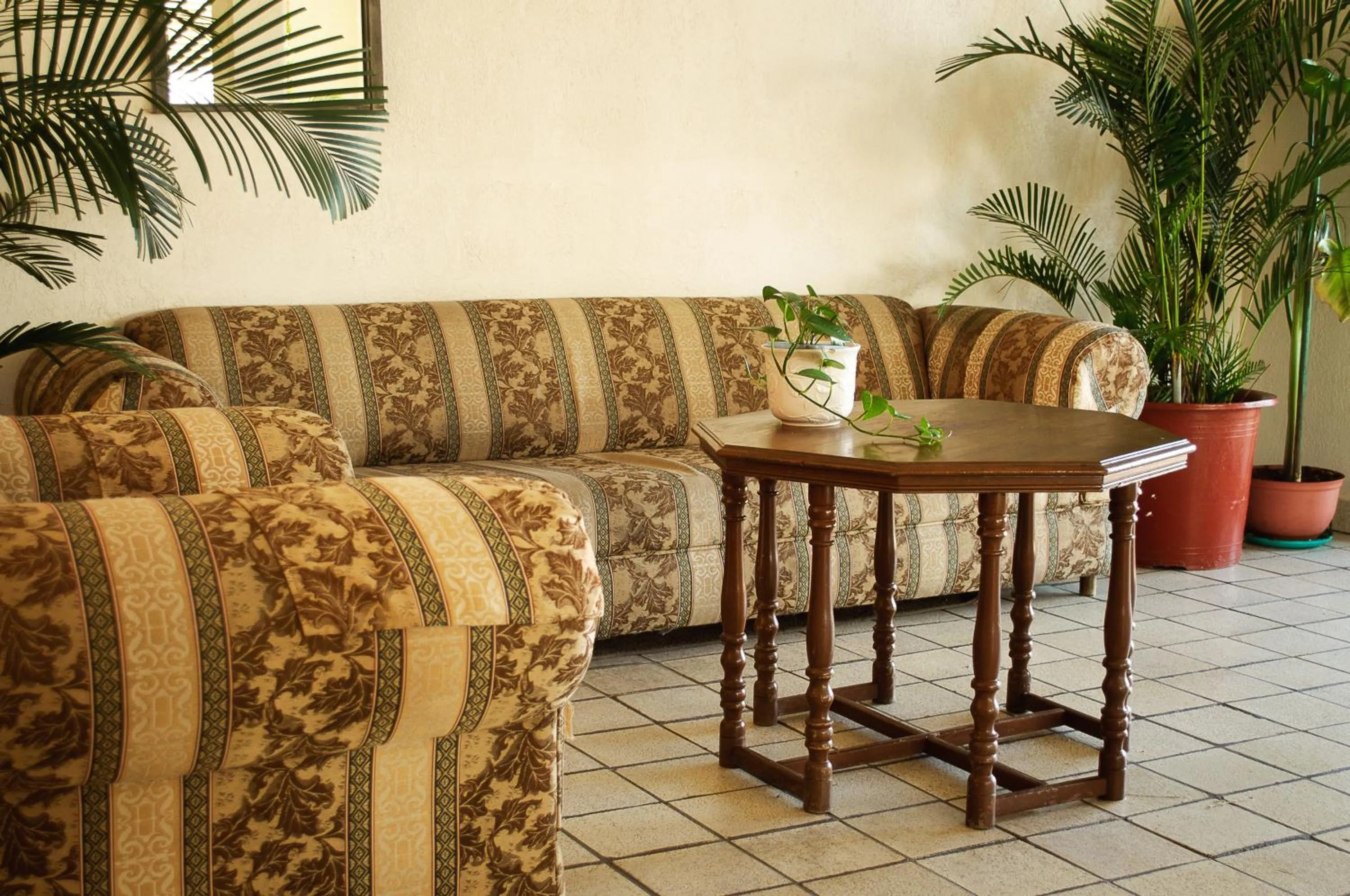 Living room in Hotel El Sausalito