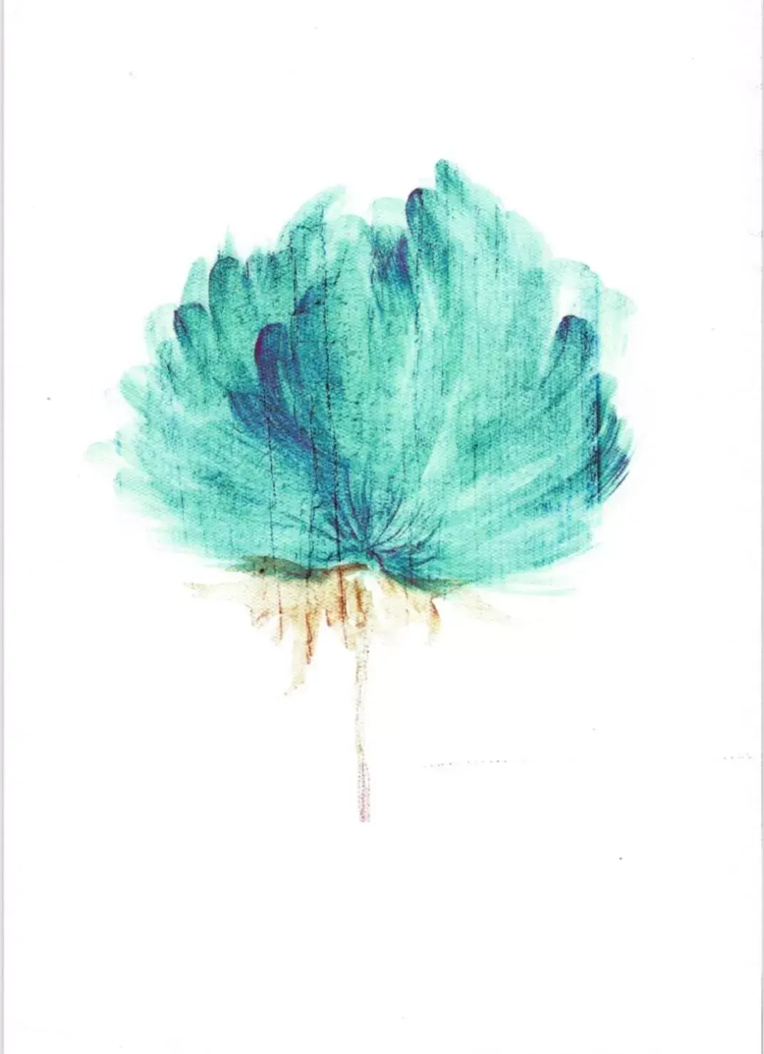 Large Double Room in B&B Il Melograno Large Double Room in B&B Il Melograno