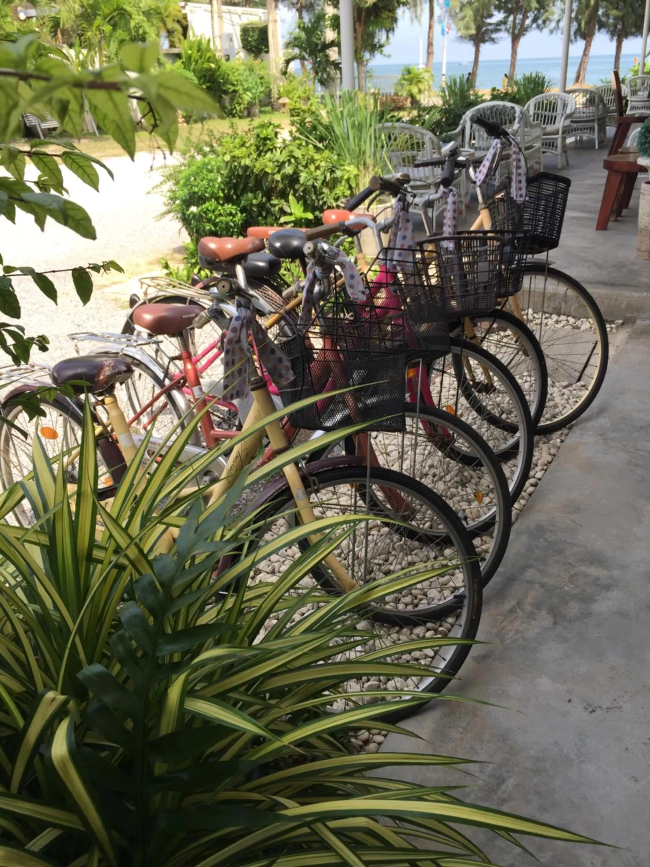 Biking in BC Summer Beach