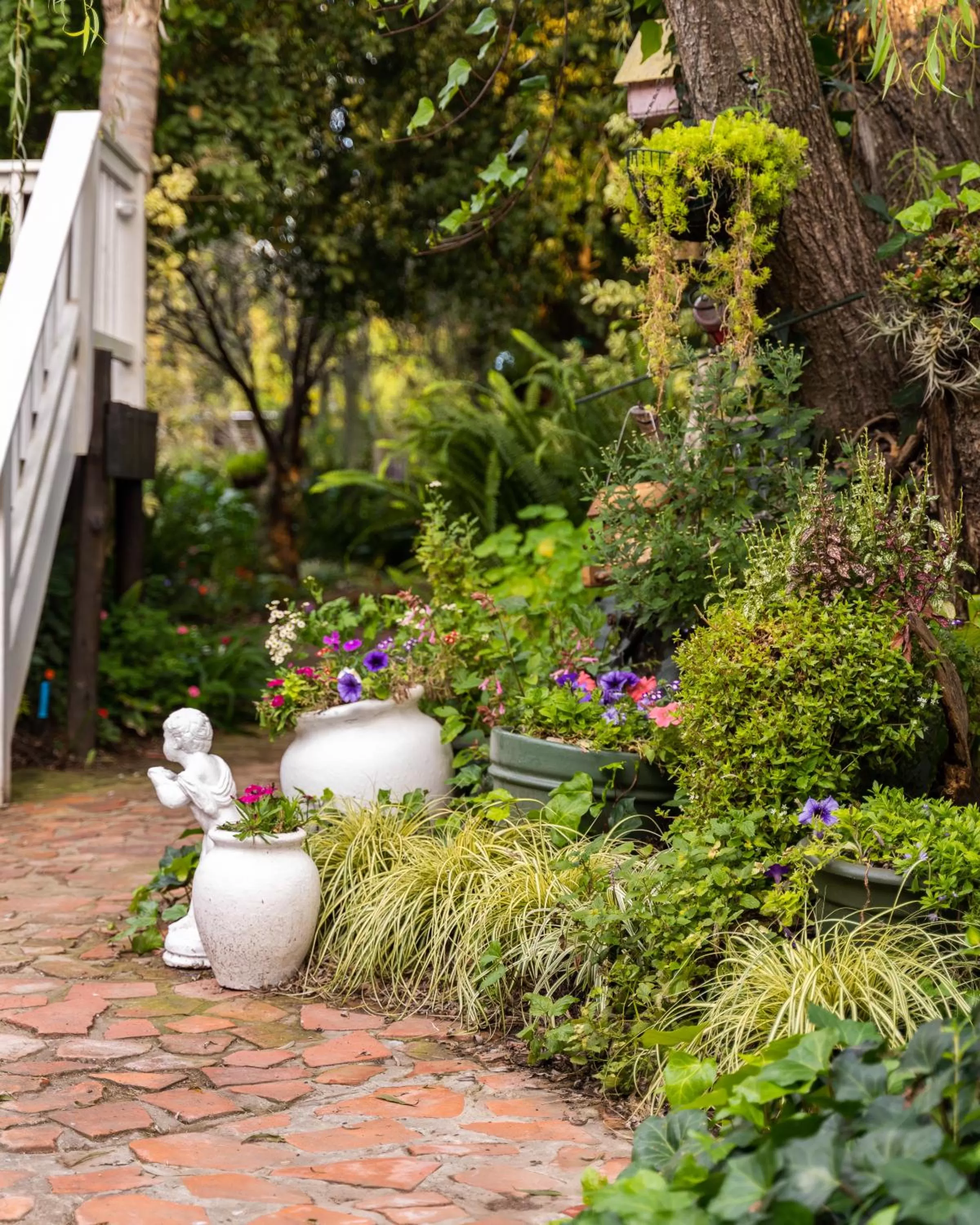 Garden in Aquaelberg Place
