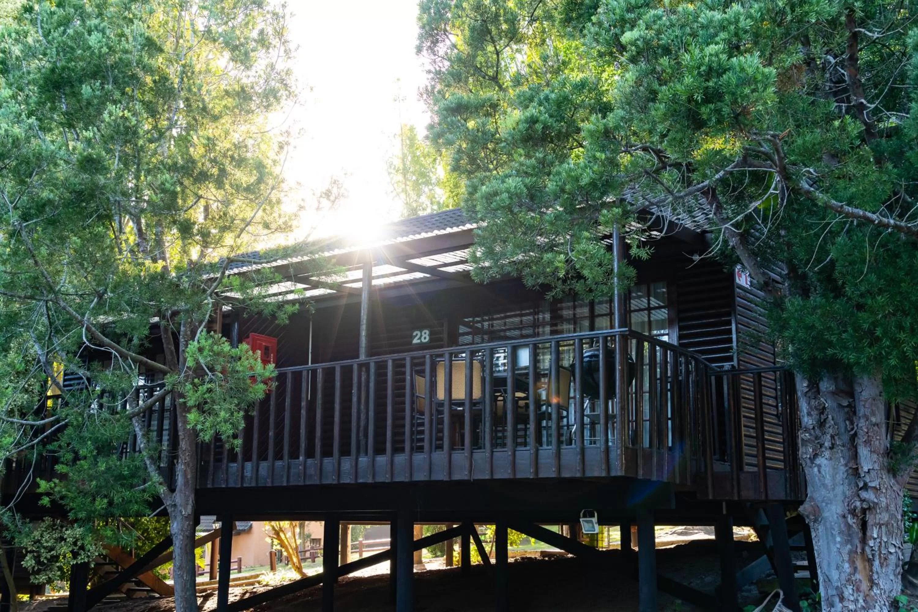 Property building in Gooderson Knysna Chalets