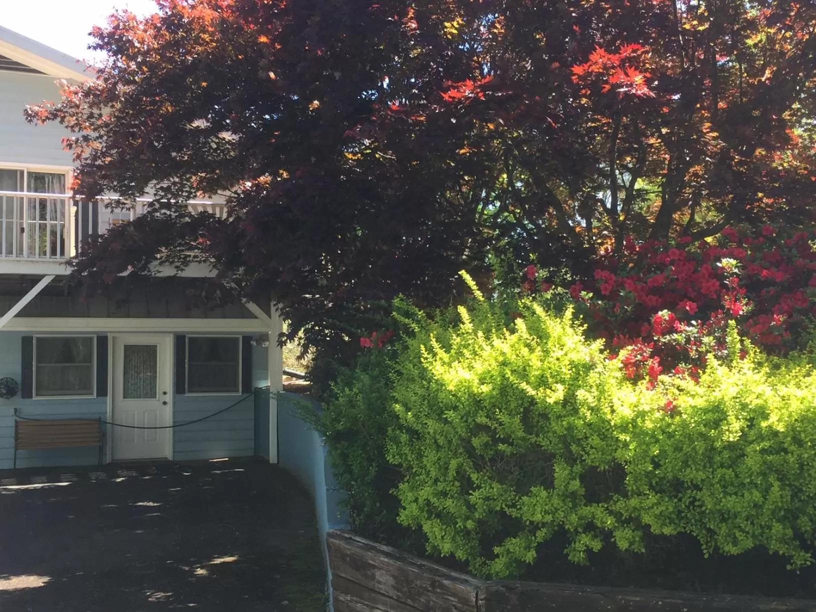 Garden, Property Building in Hidden Valley B&B