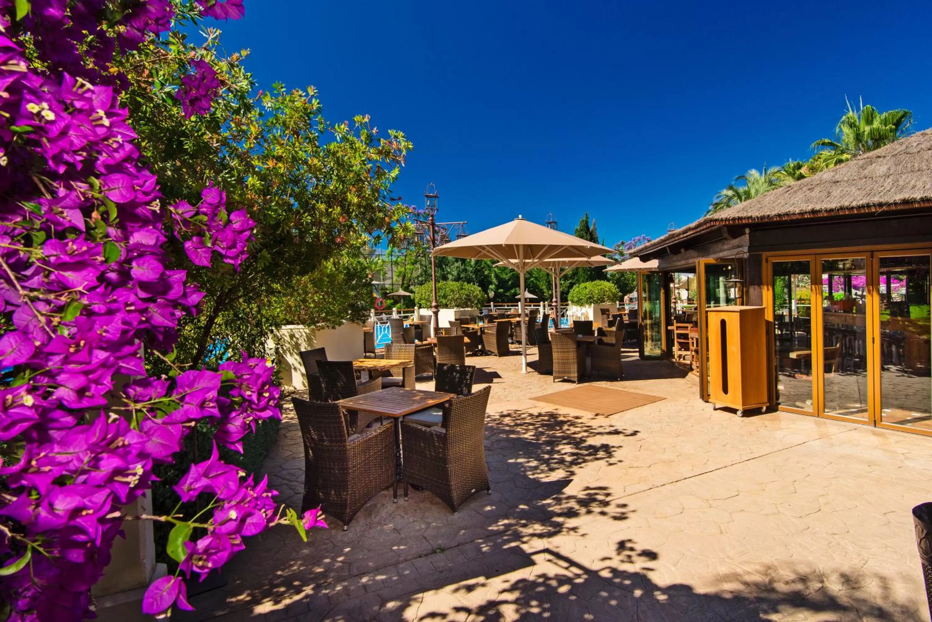 Restaurant/places to eat in Lindner Hotel Mallorca Portals Nous, part of JdV by Hyatt