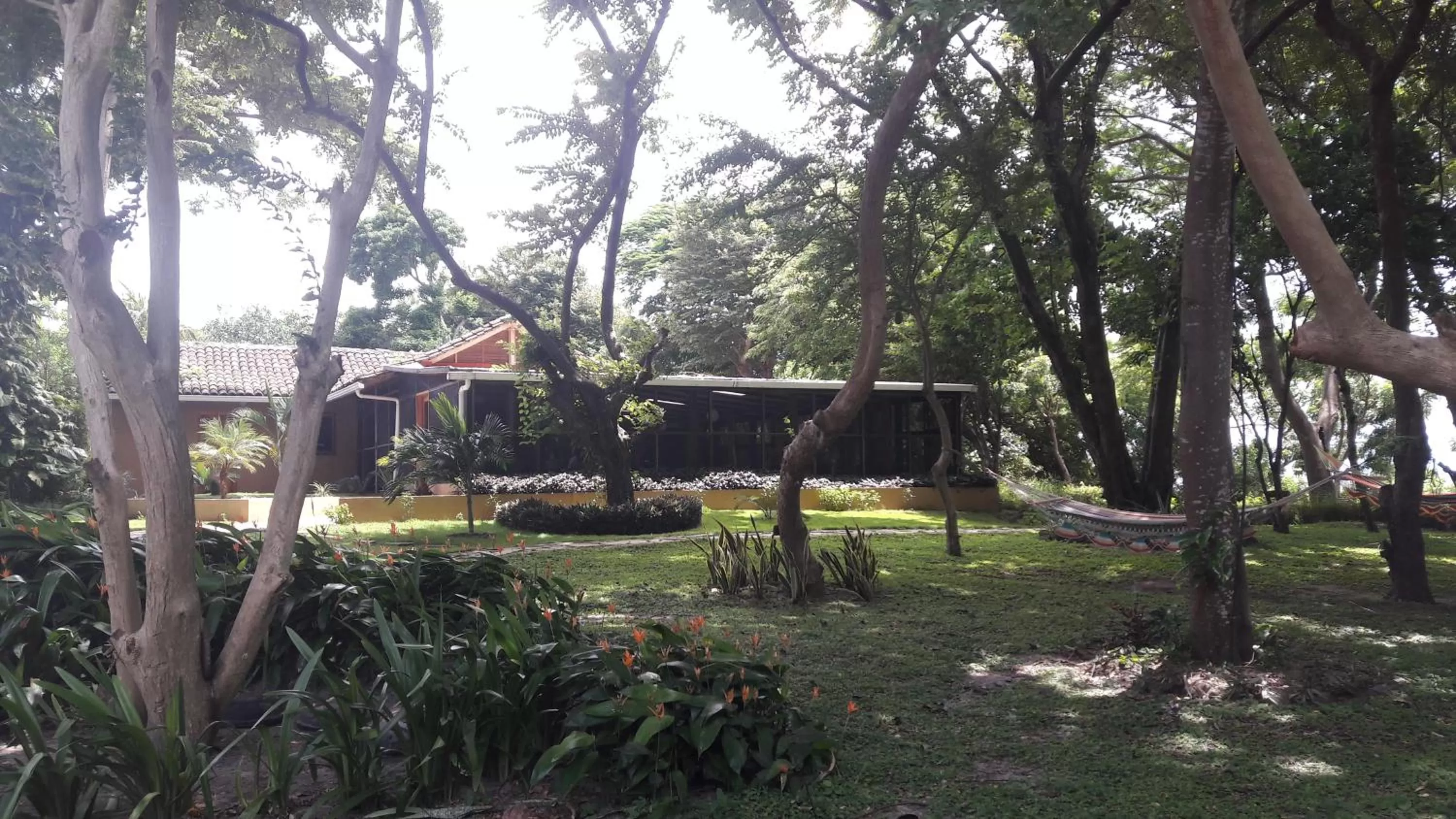 Restaurant/places to eat, Garden in Xalli Beach Hotel