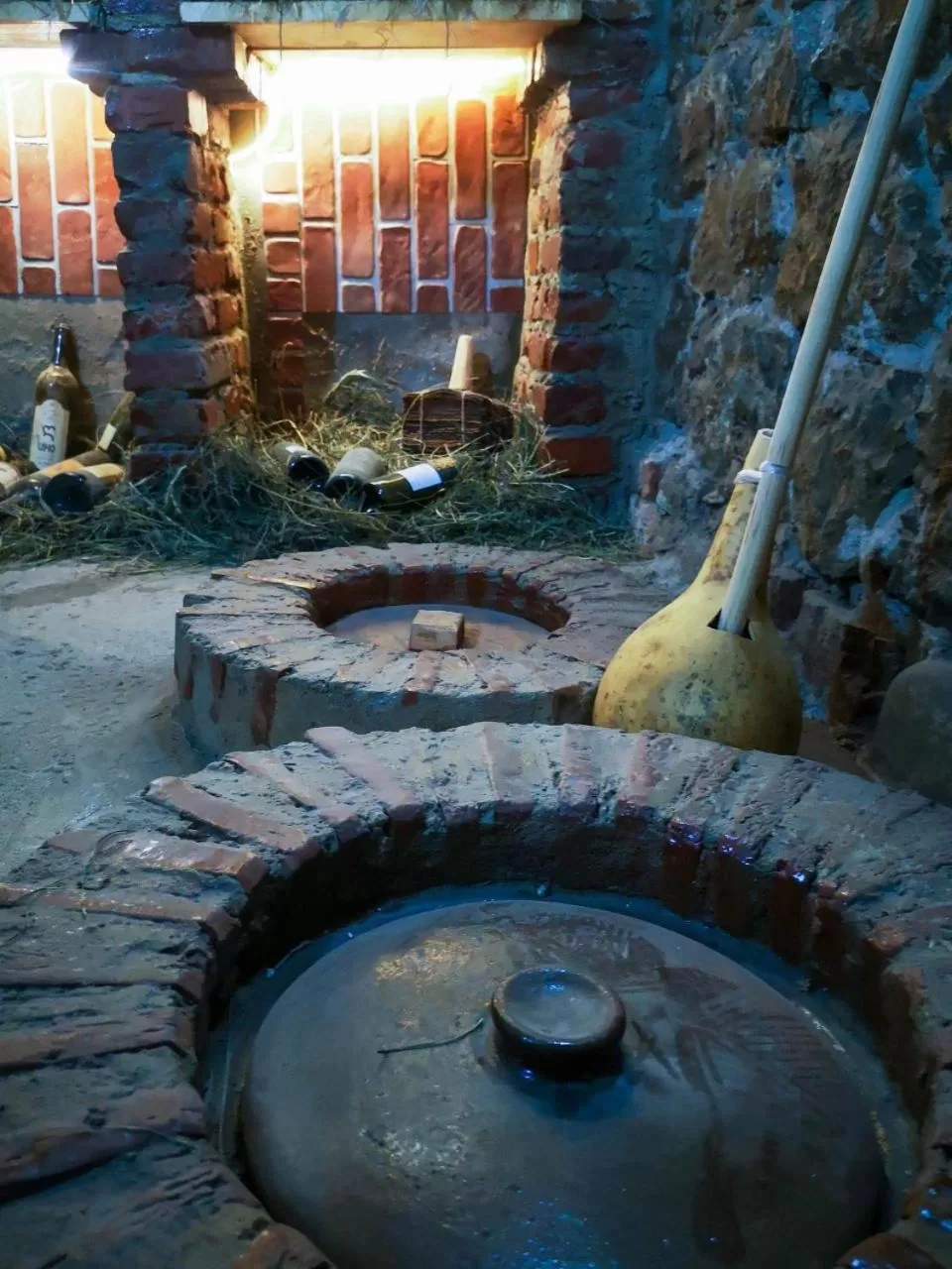 Other Animals in 1870 Hotel