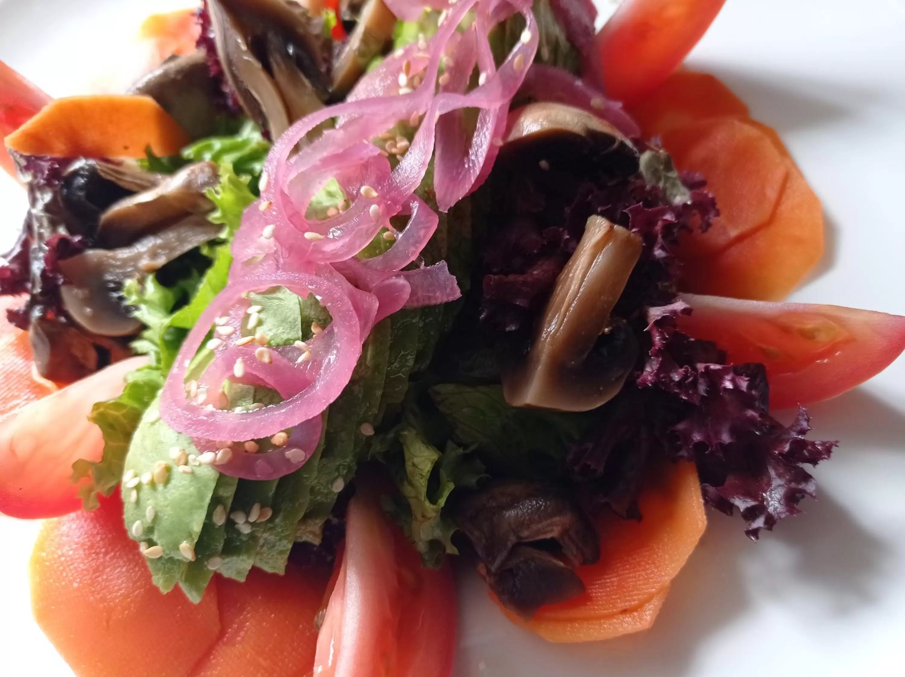 Food in Hotel Refugio Pozo Azul