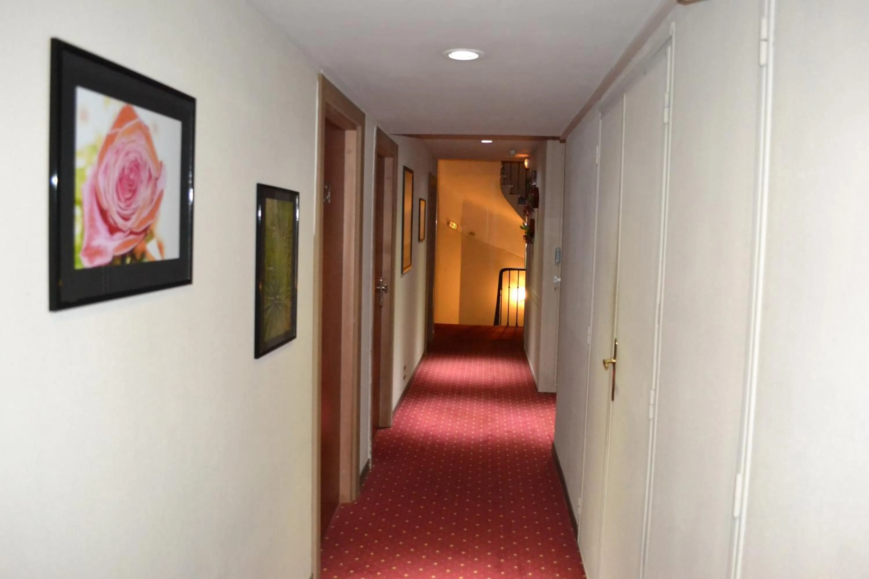 Other in Saint Ferréol