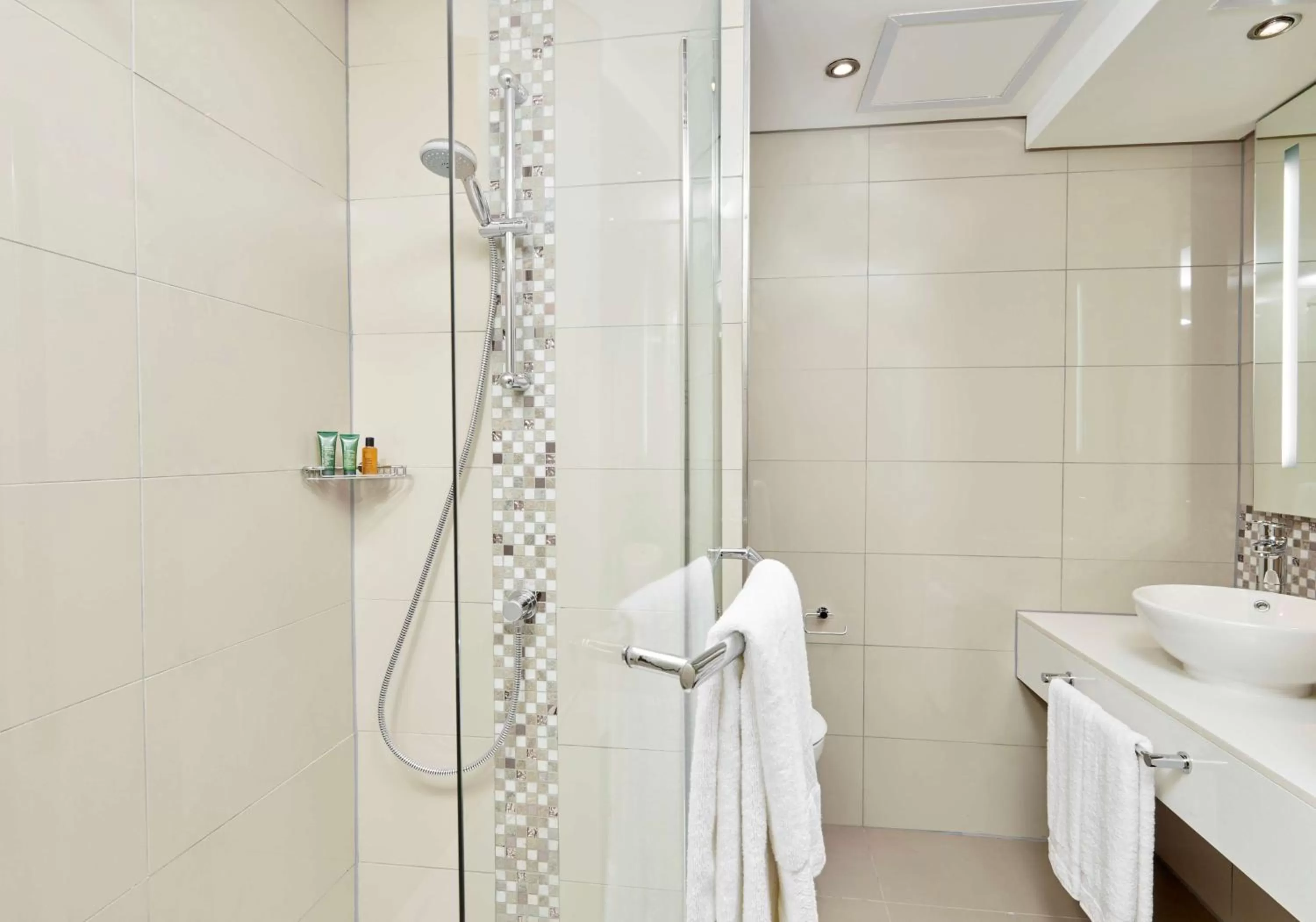 Bathroom in Hilton Garden Inn Society Business Park