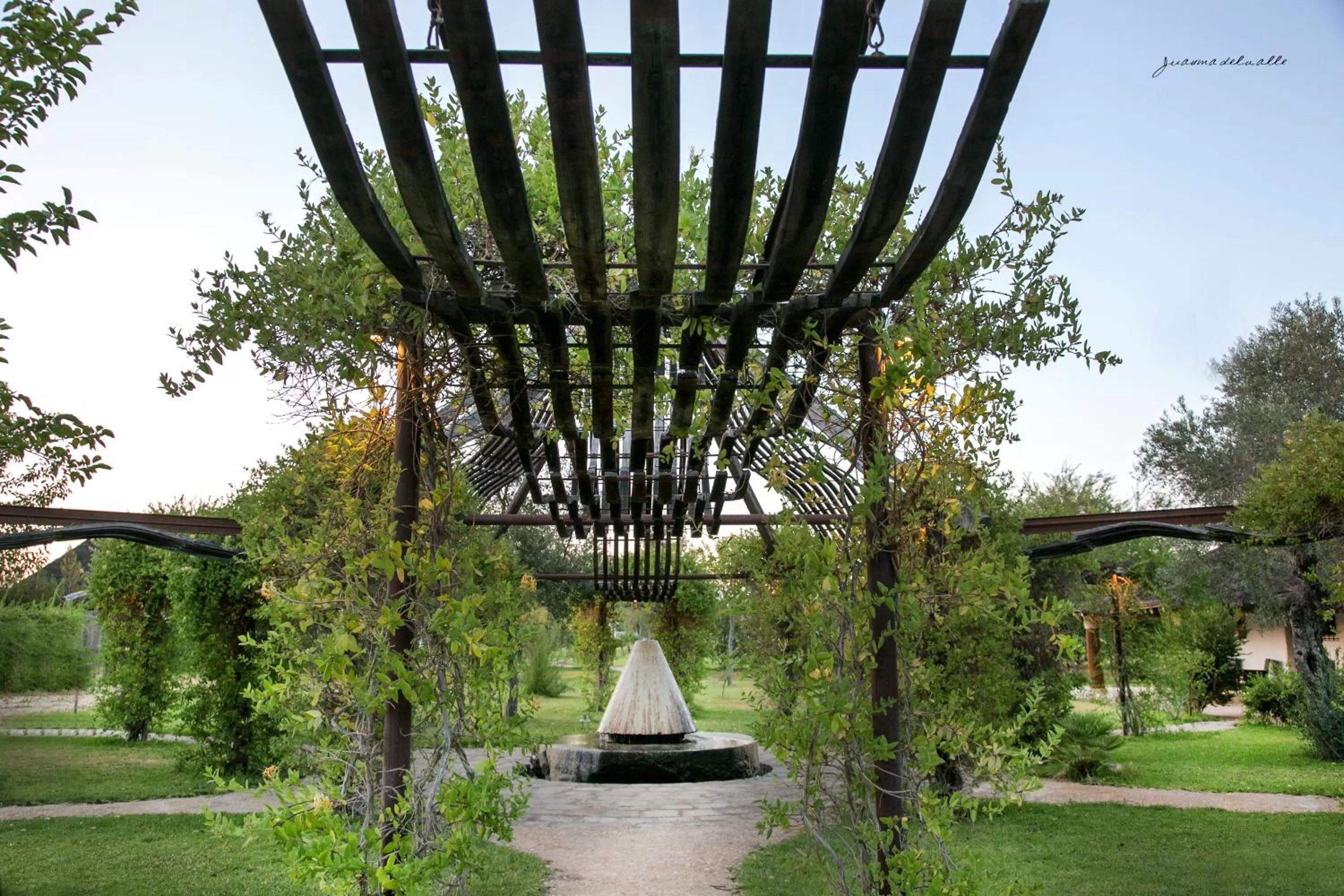 Off site in Ardea Purpurea