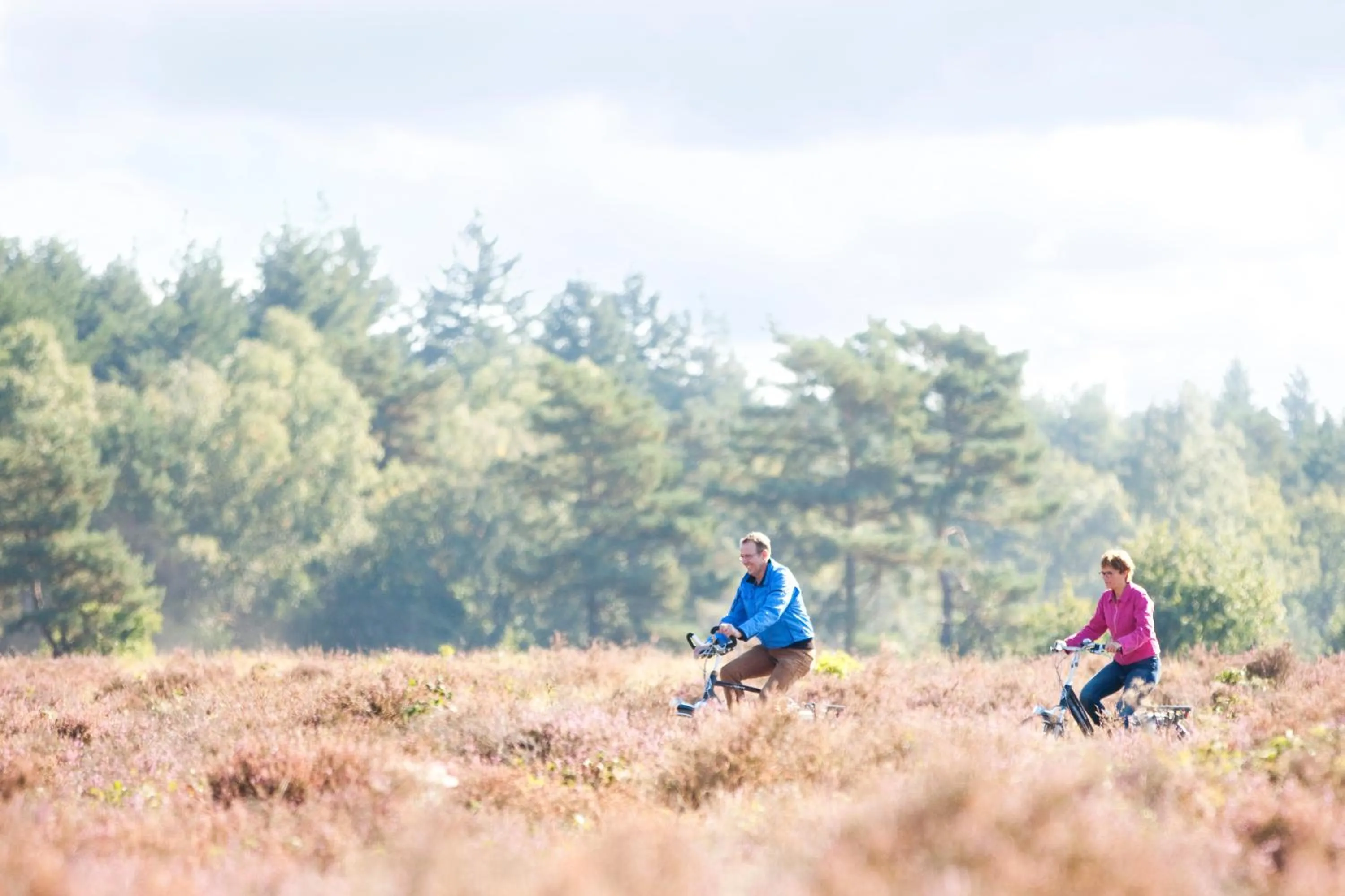 Cycling in Hof van Putten