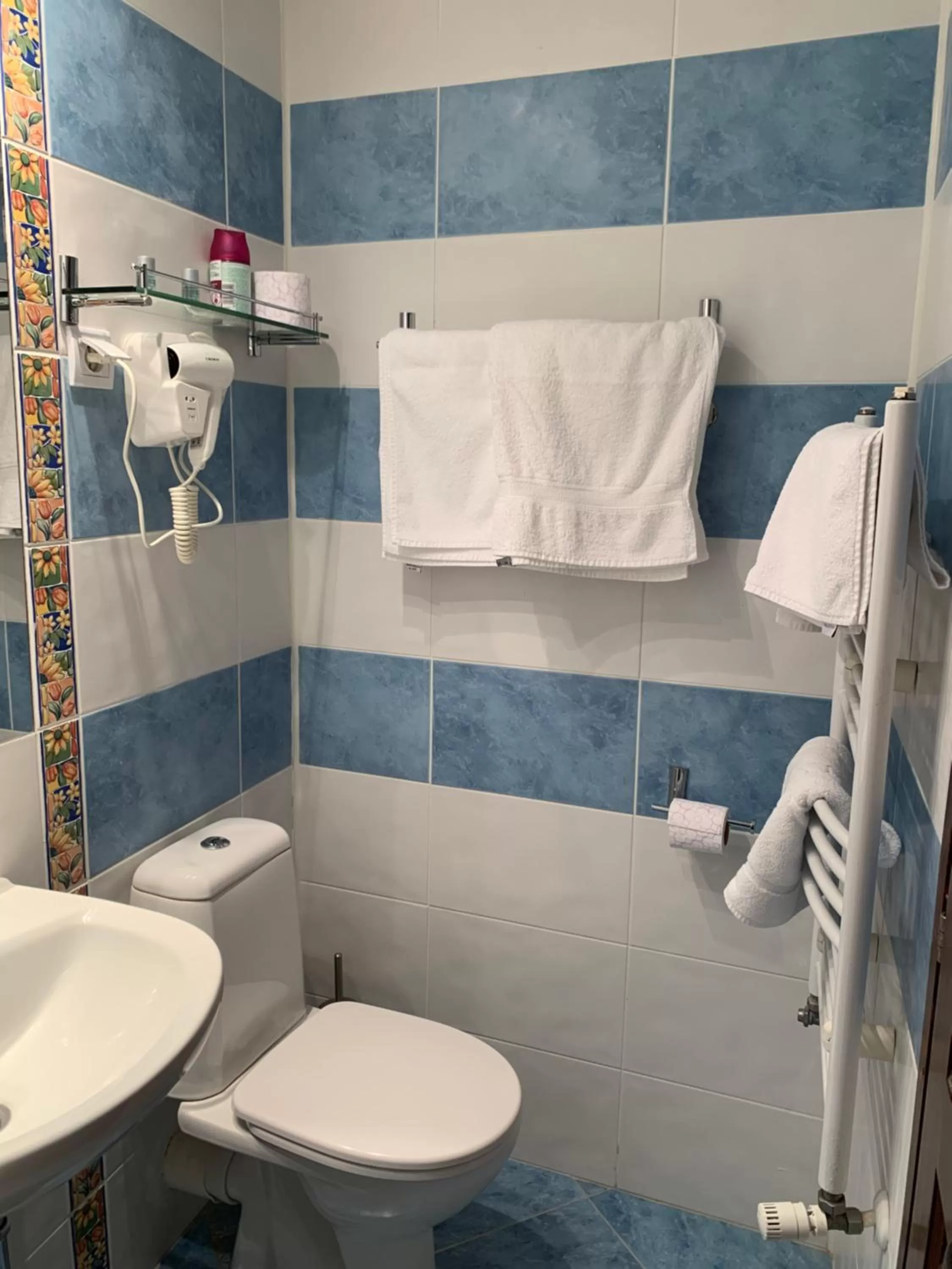 Bathroom in Villa Rai