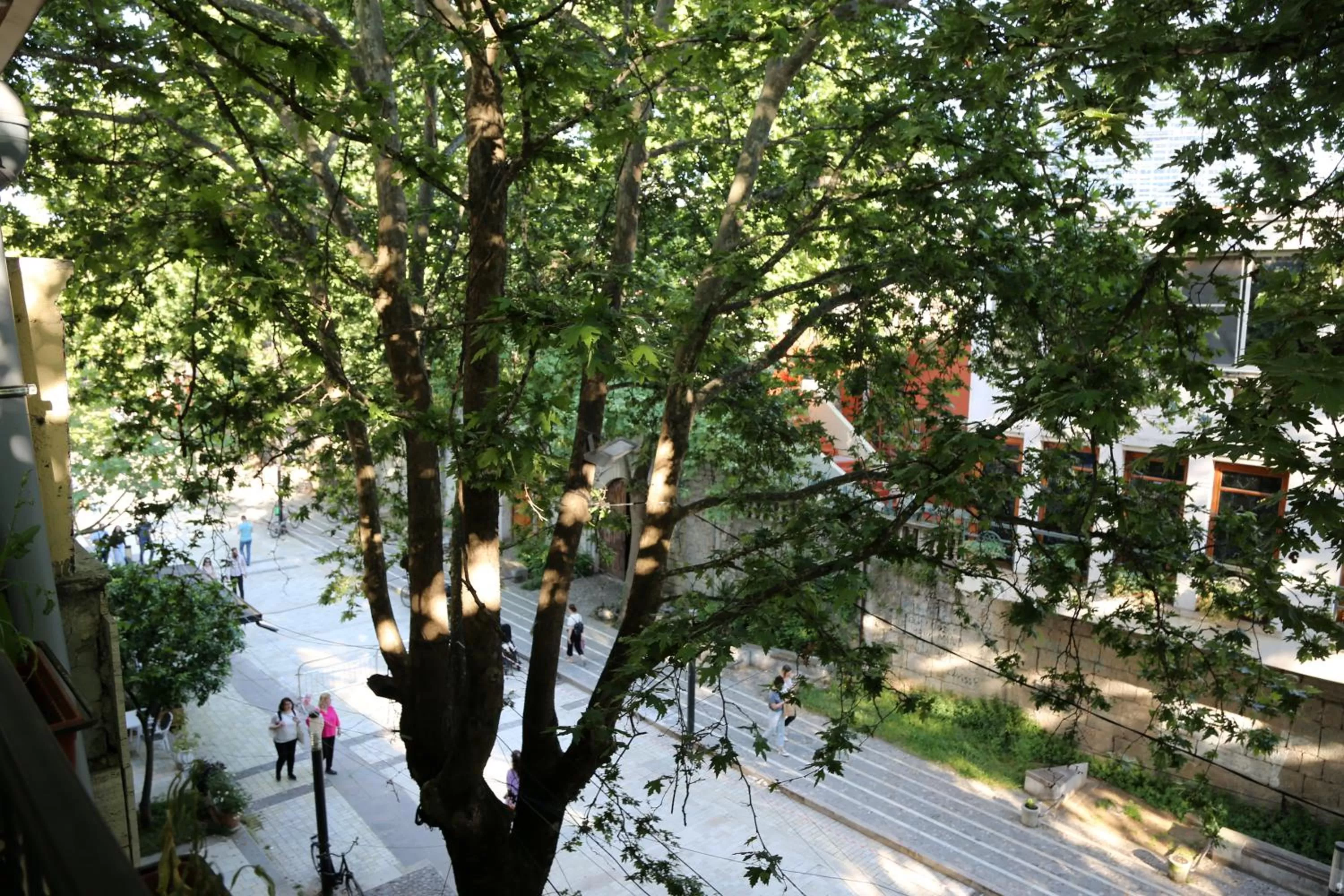 Spring, Winter in Hotel Millenium Tirana