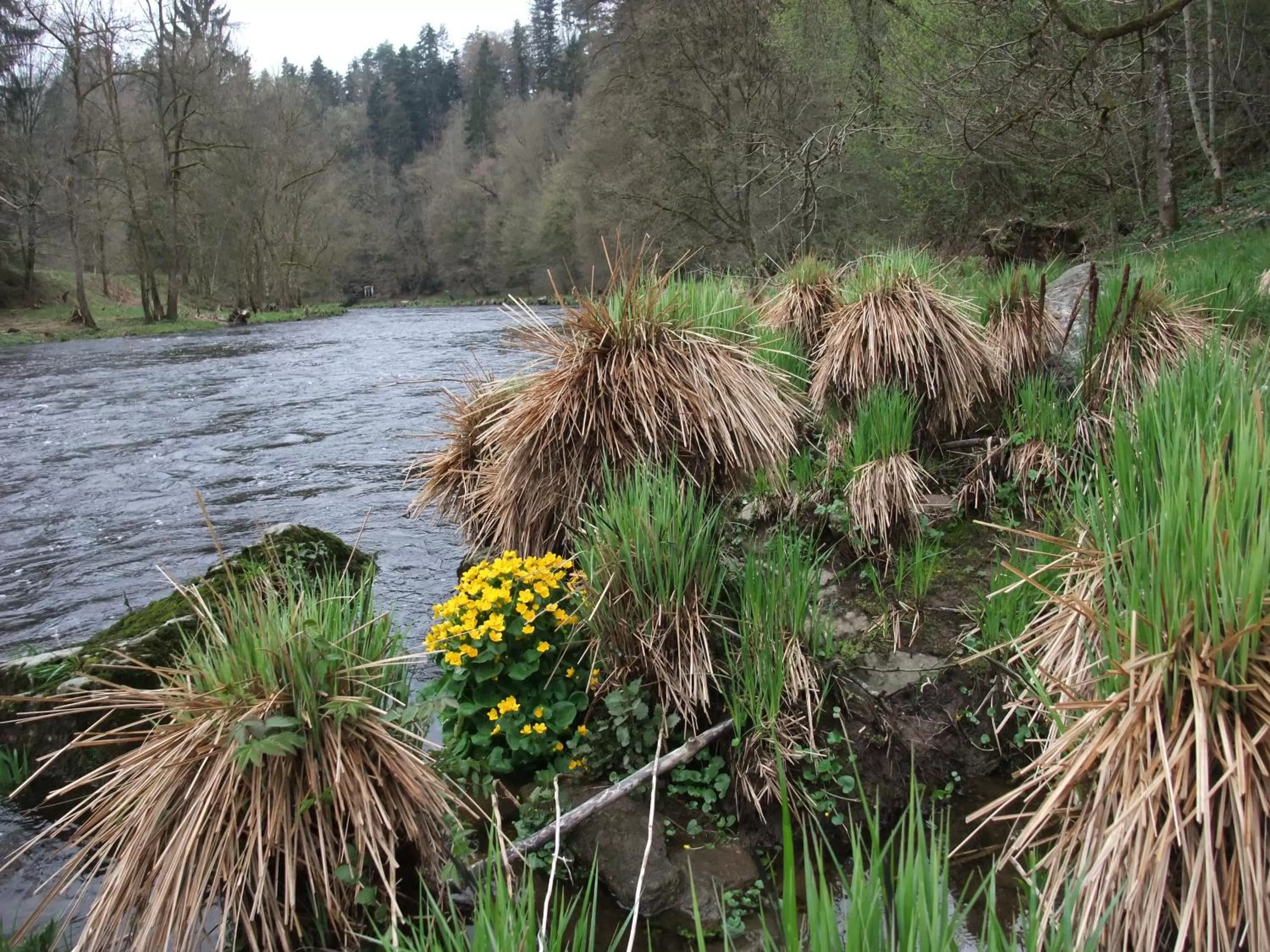 Nearby landmark in Schätzlhof