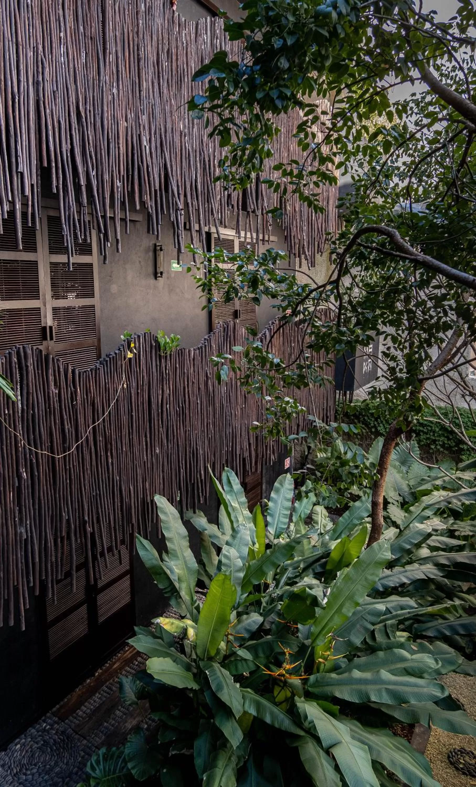 Garden in Maka Hotel Boutique