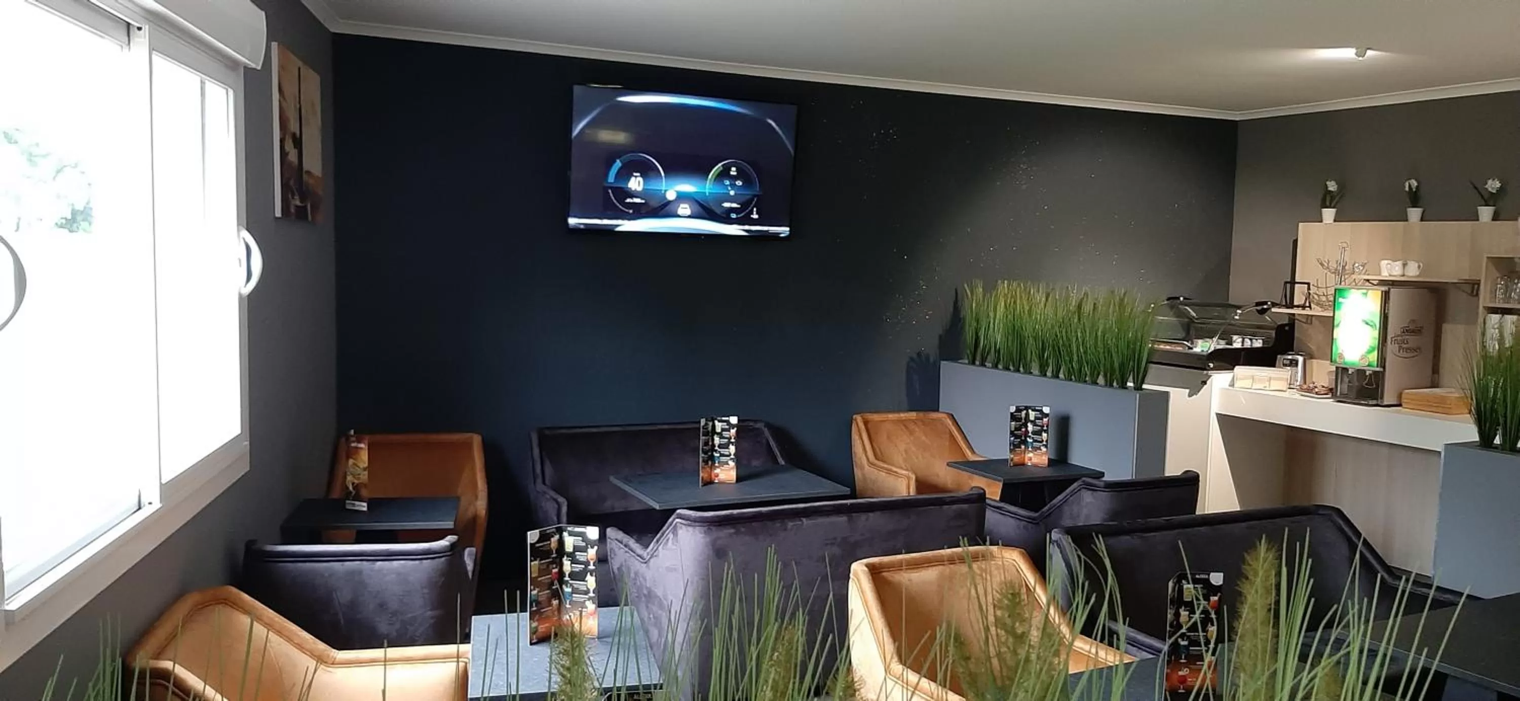 TV and multimedia in Hotel Martinez Grenay