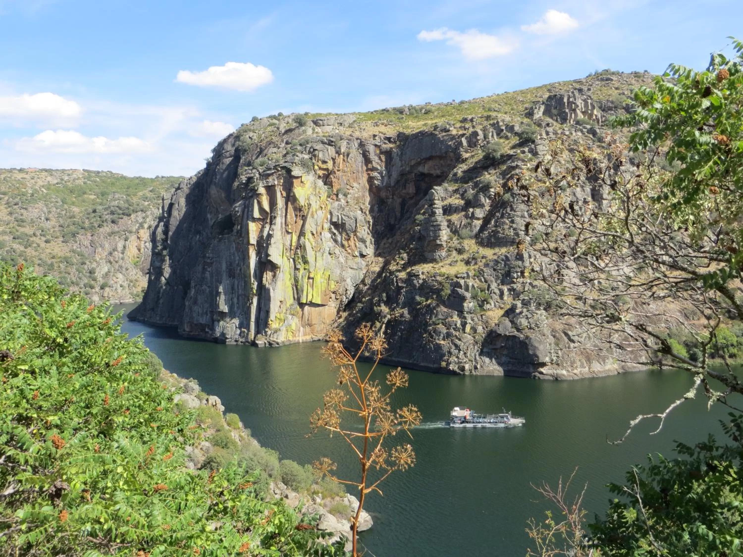 River view in Camping Lamego Douro Valley