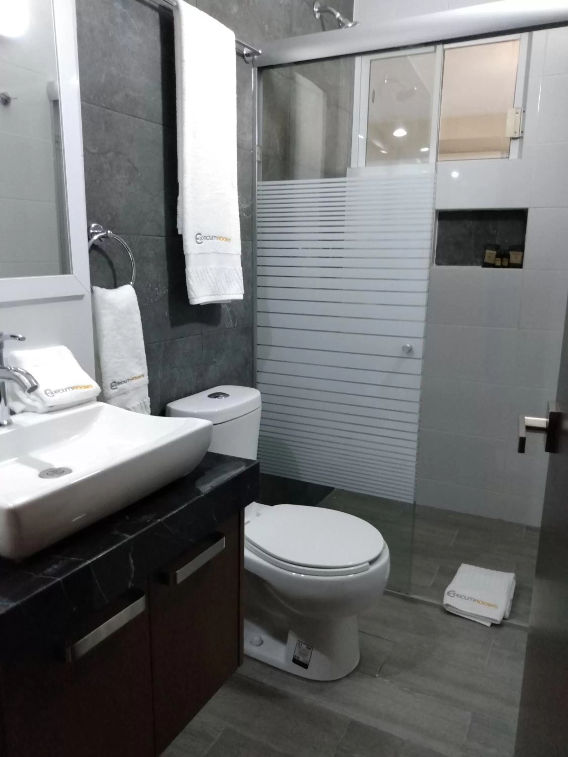 Toilet in EXECUTIROOMS VERACRUZ