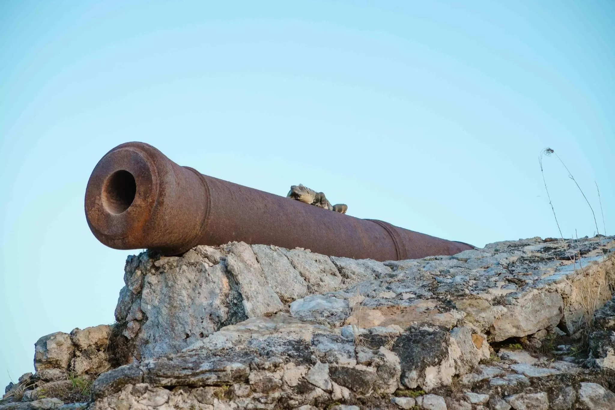 Landmark view in Hotel Naomi City center