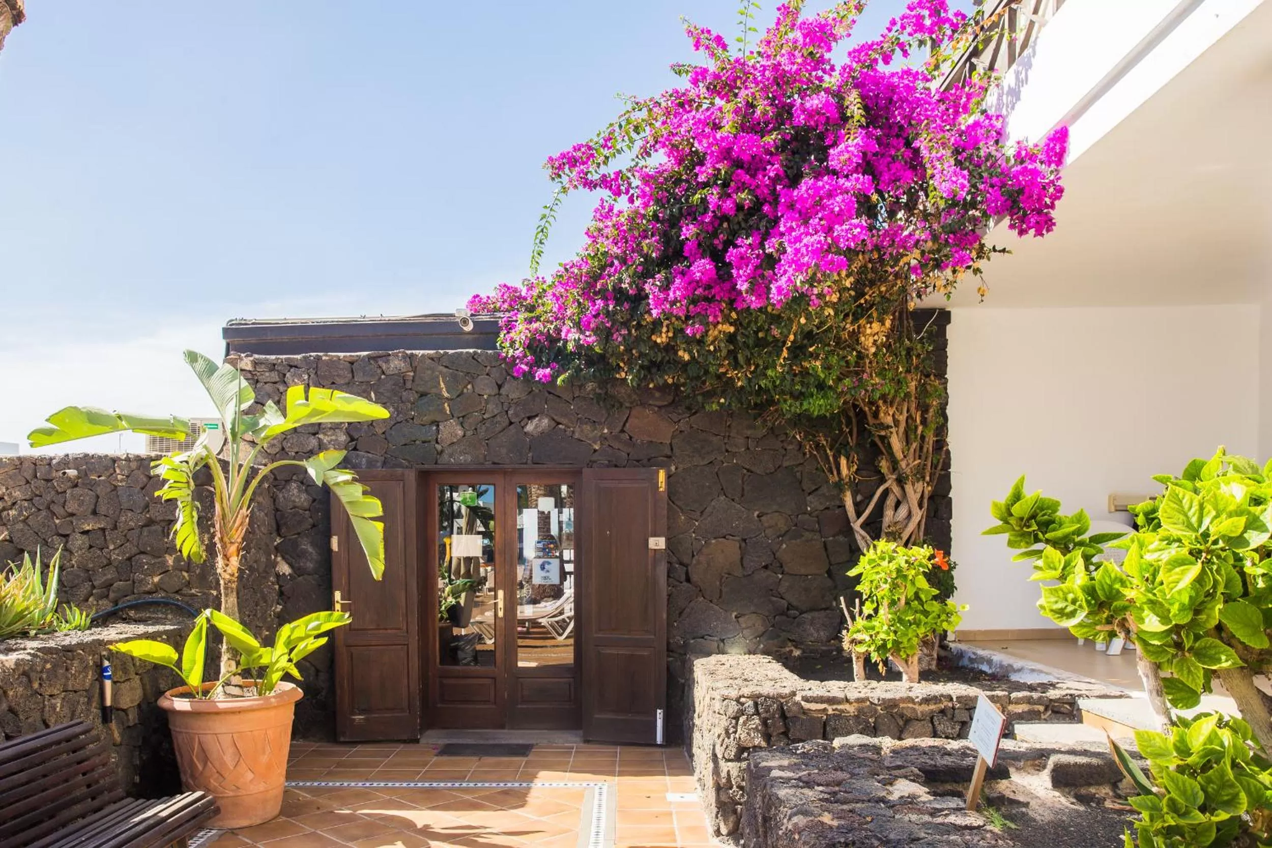 Patio in Los Tulipanes