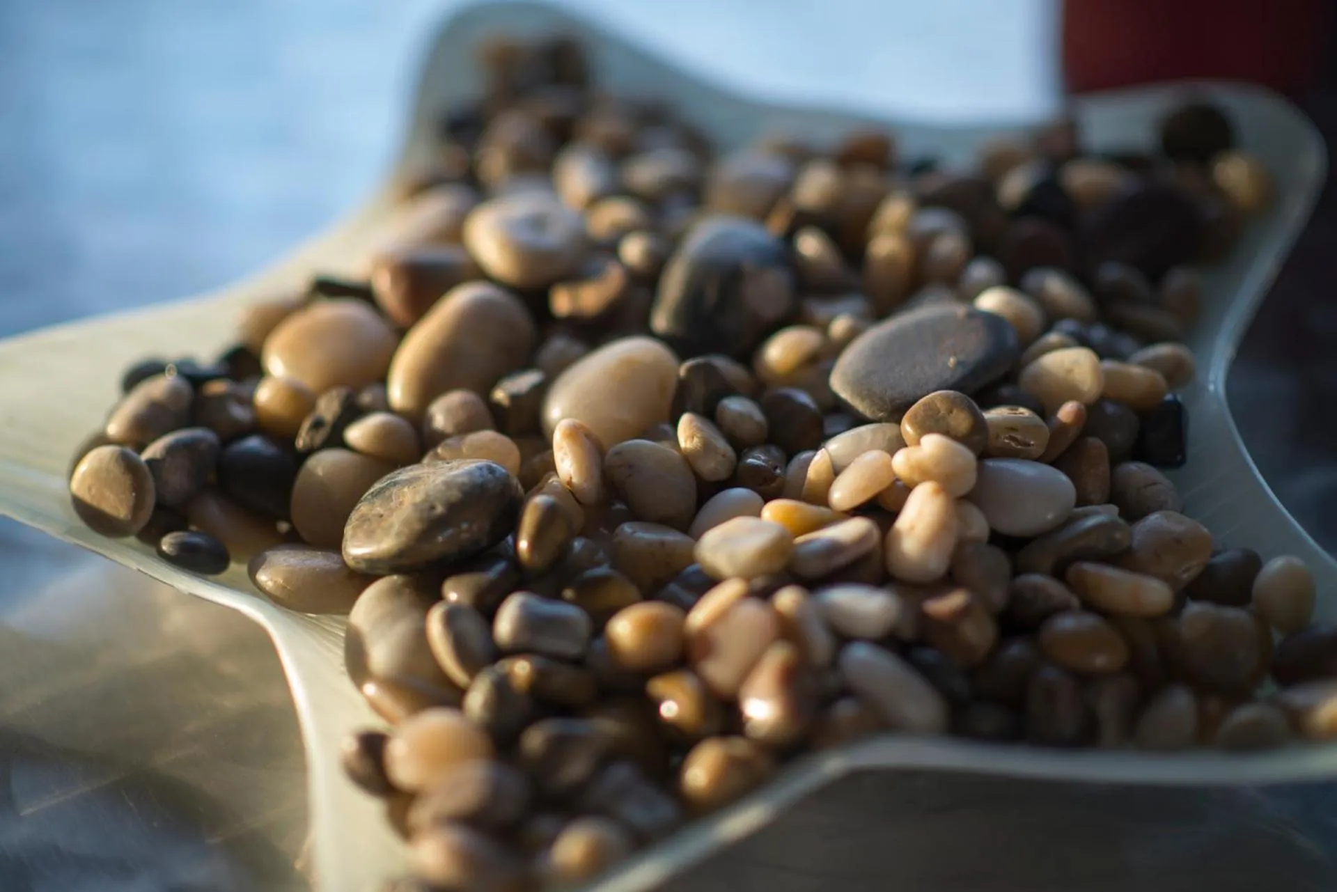 Decorative detail in Palm Beach Guesthouse