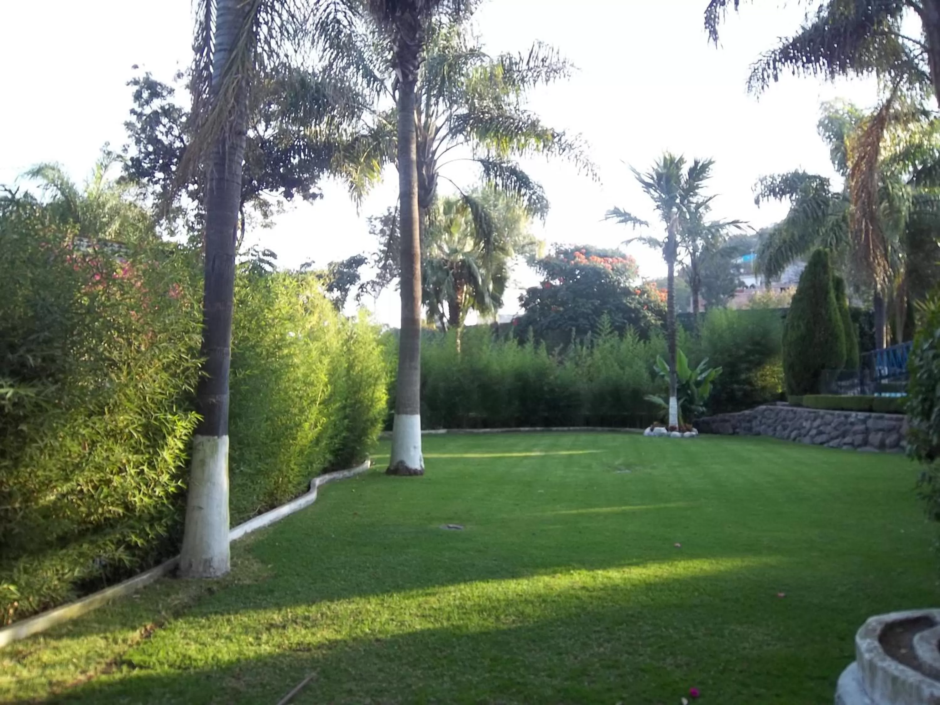 Garden in Posada Los Alcatraces