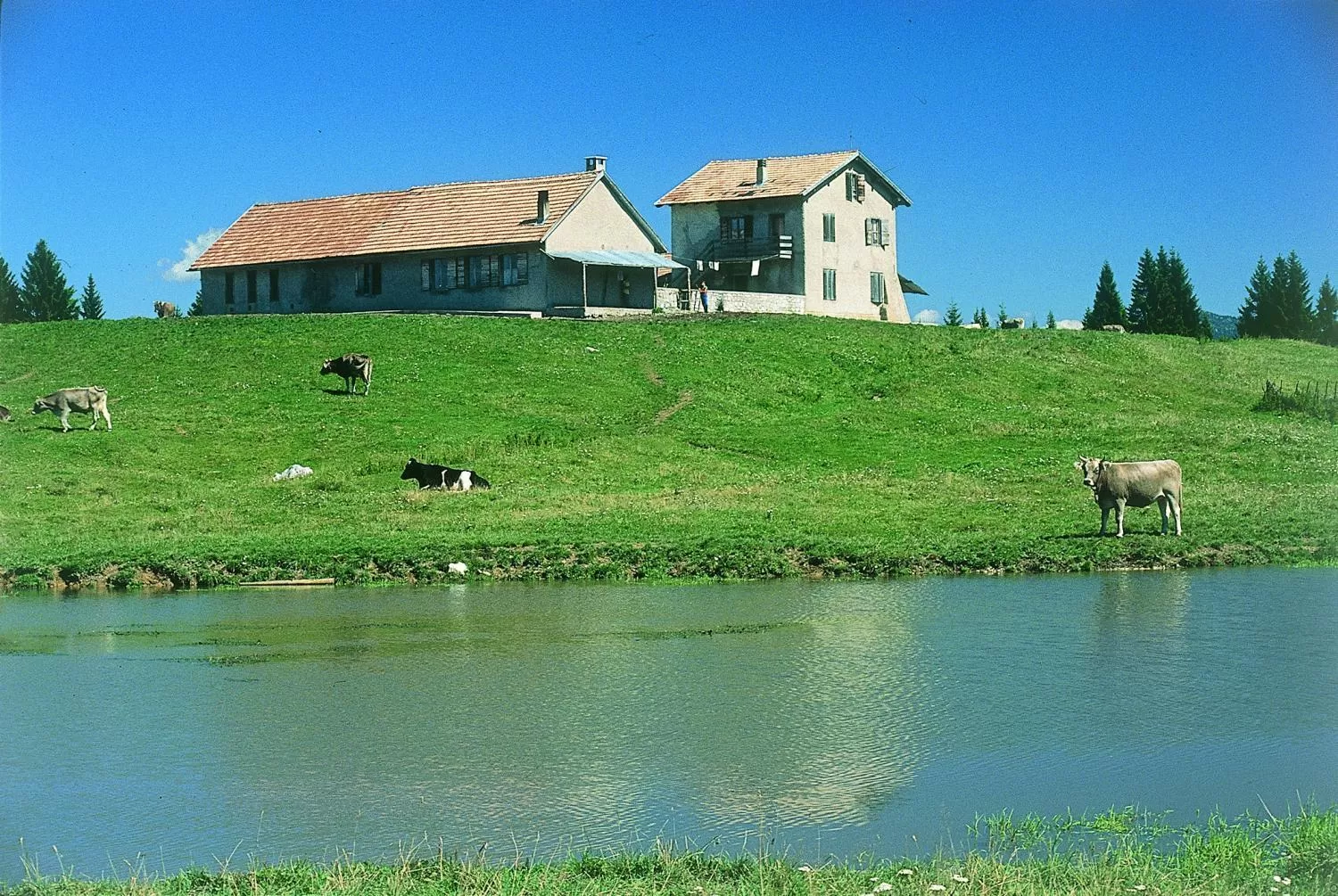 Area and facilities in Alaska Clubresidence