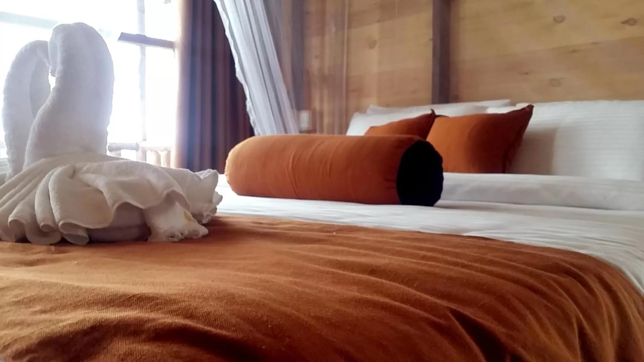 Bed in Saffron Eco Cottage