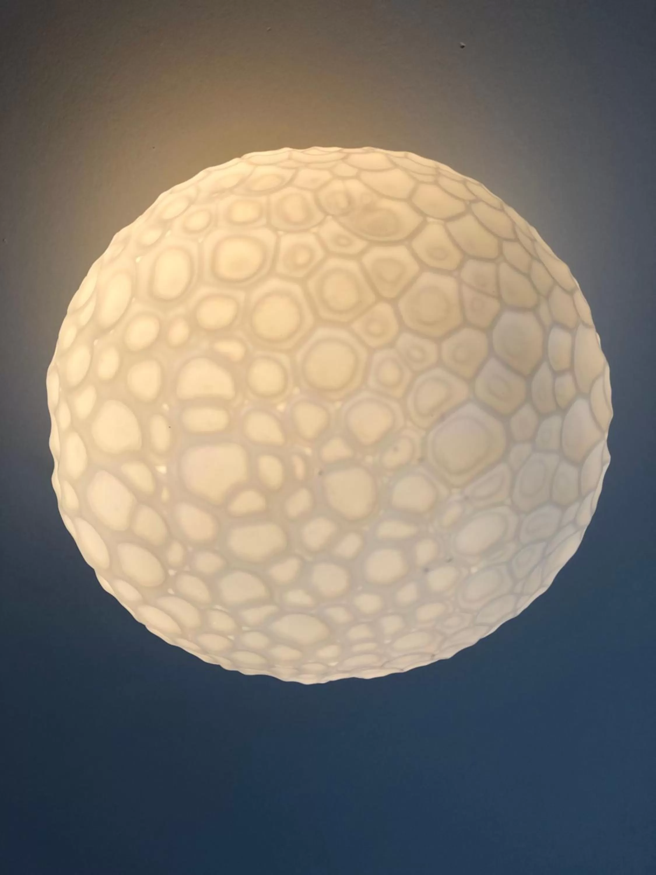 Villa BlauwHemel Diever