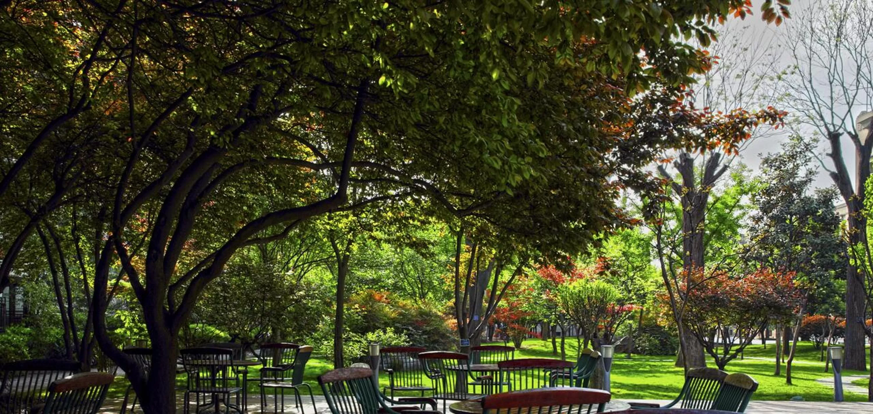 Garden in Sofitel Legend People's Grand Hotel Xi'an