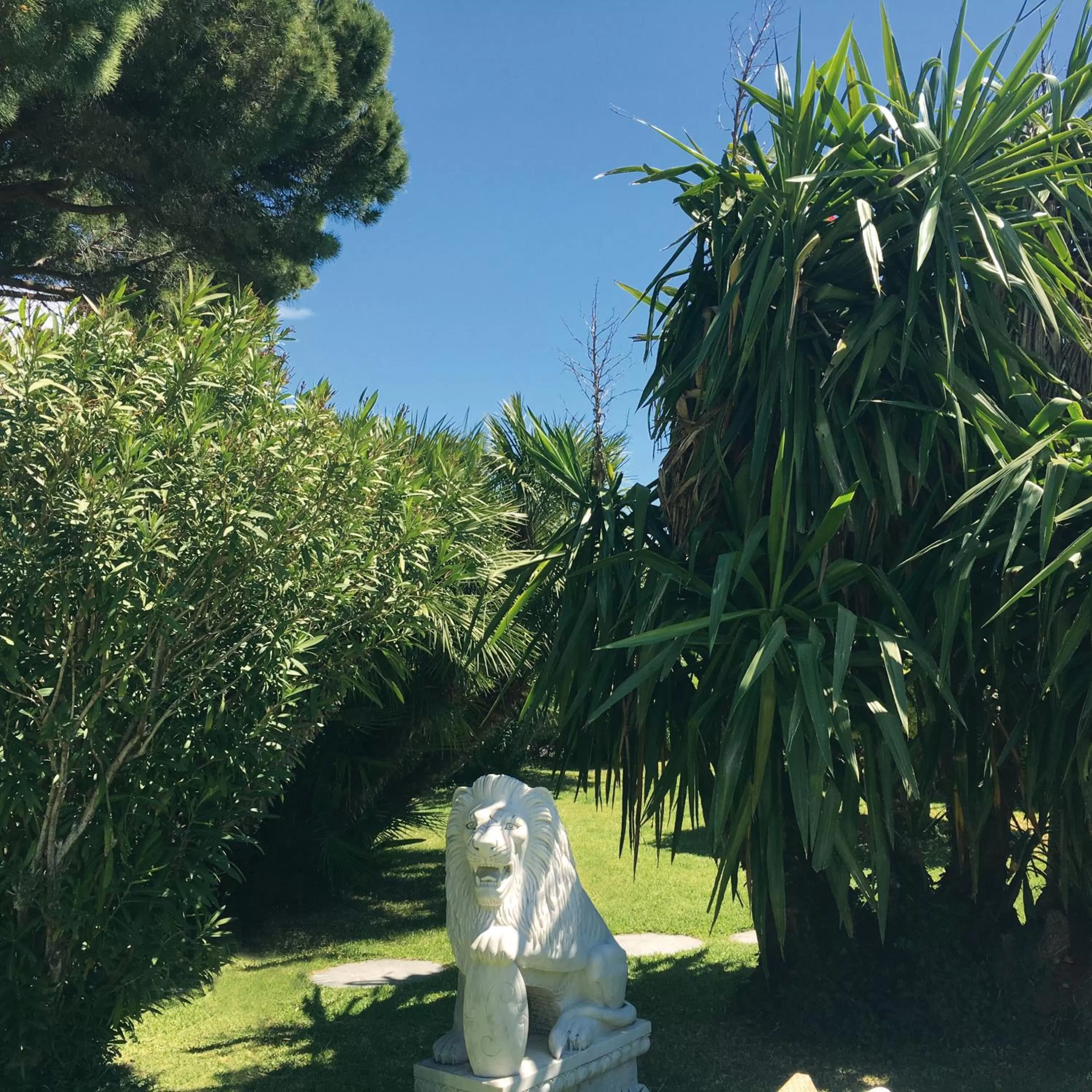 Garden view in Grand Hotel Del Mare Resort & Spa
