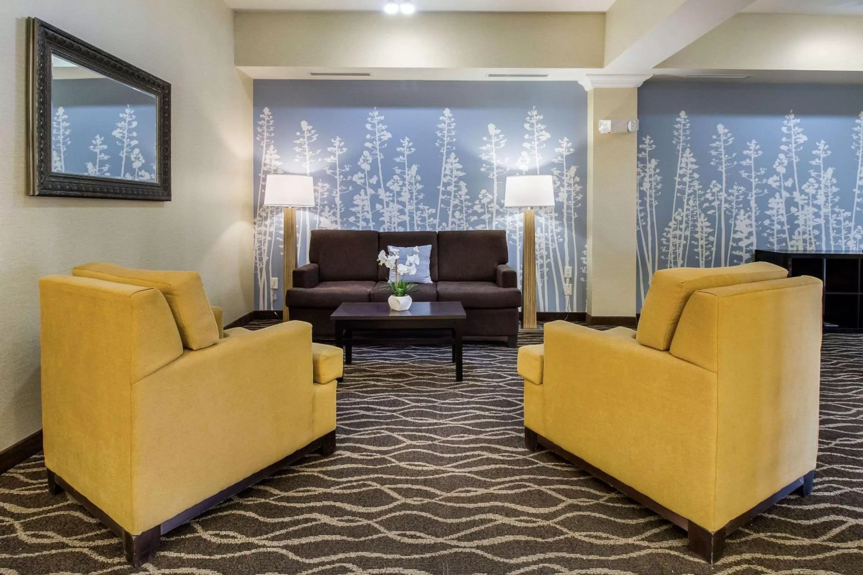 Lobby or reception in Sleep Inn & Suites